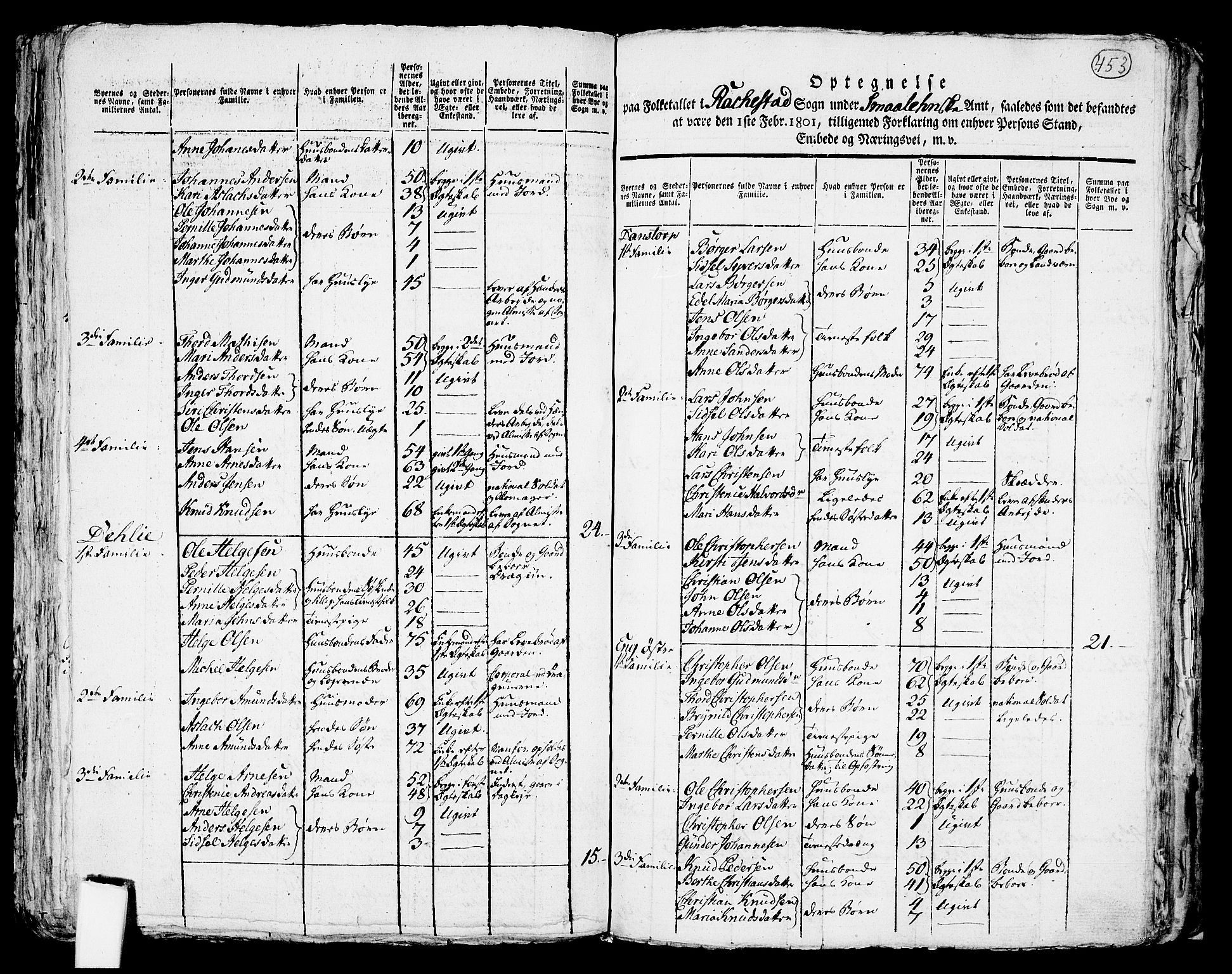 RA, 1801 census for 0128P Rakkestad, 1801, p. 452b-453a