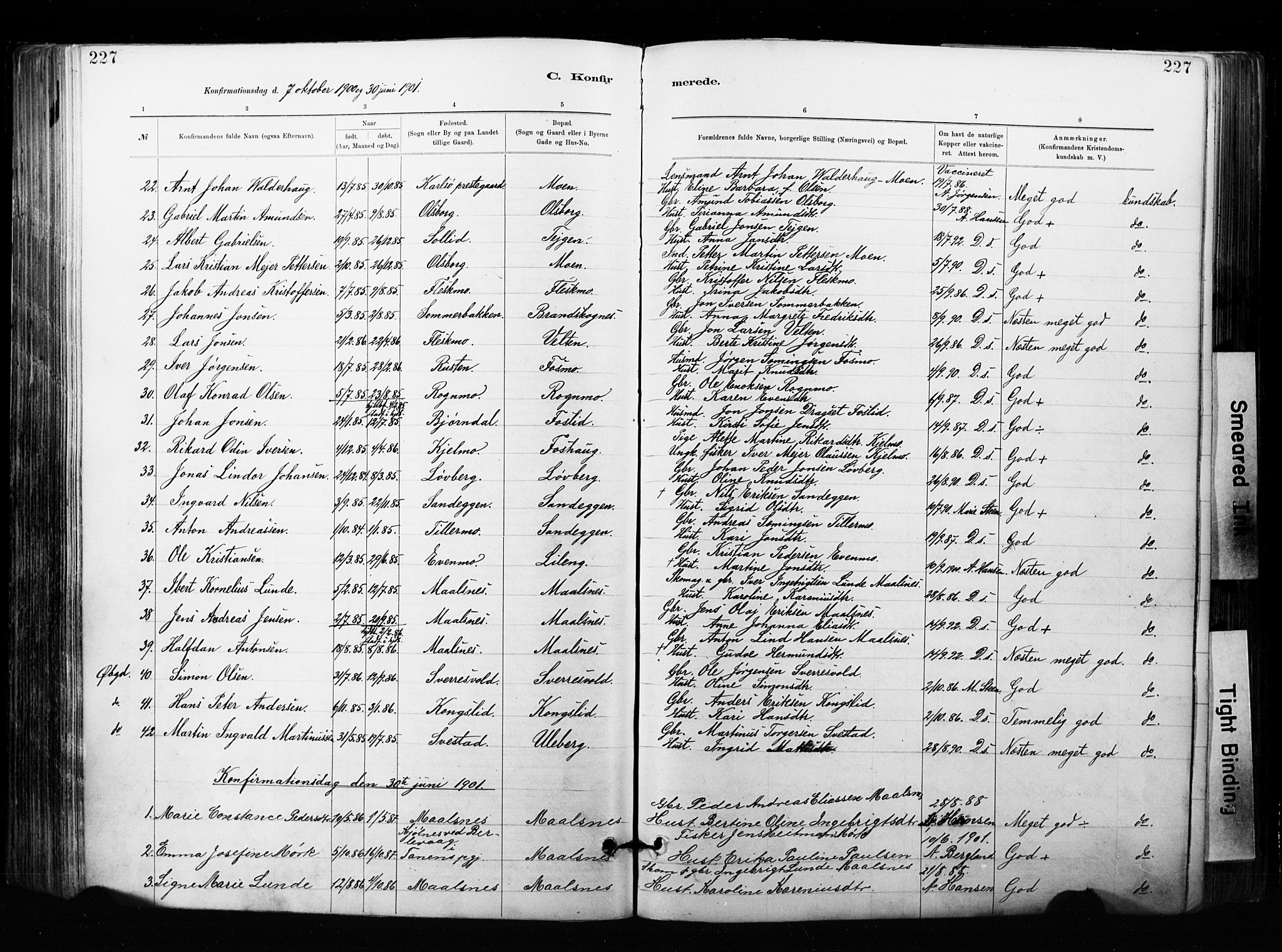 Målselv sokneprestembete, SATØ/S-1311/G/Ga/Gaa/L0007kirke: Parish register (official) no. 7, 1884-1903, p. 227