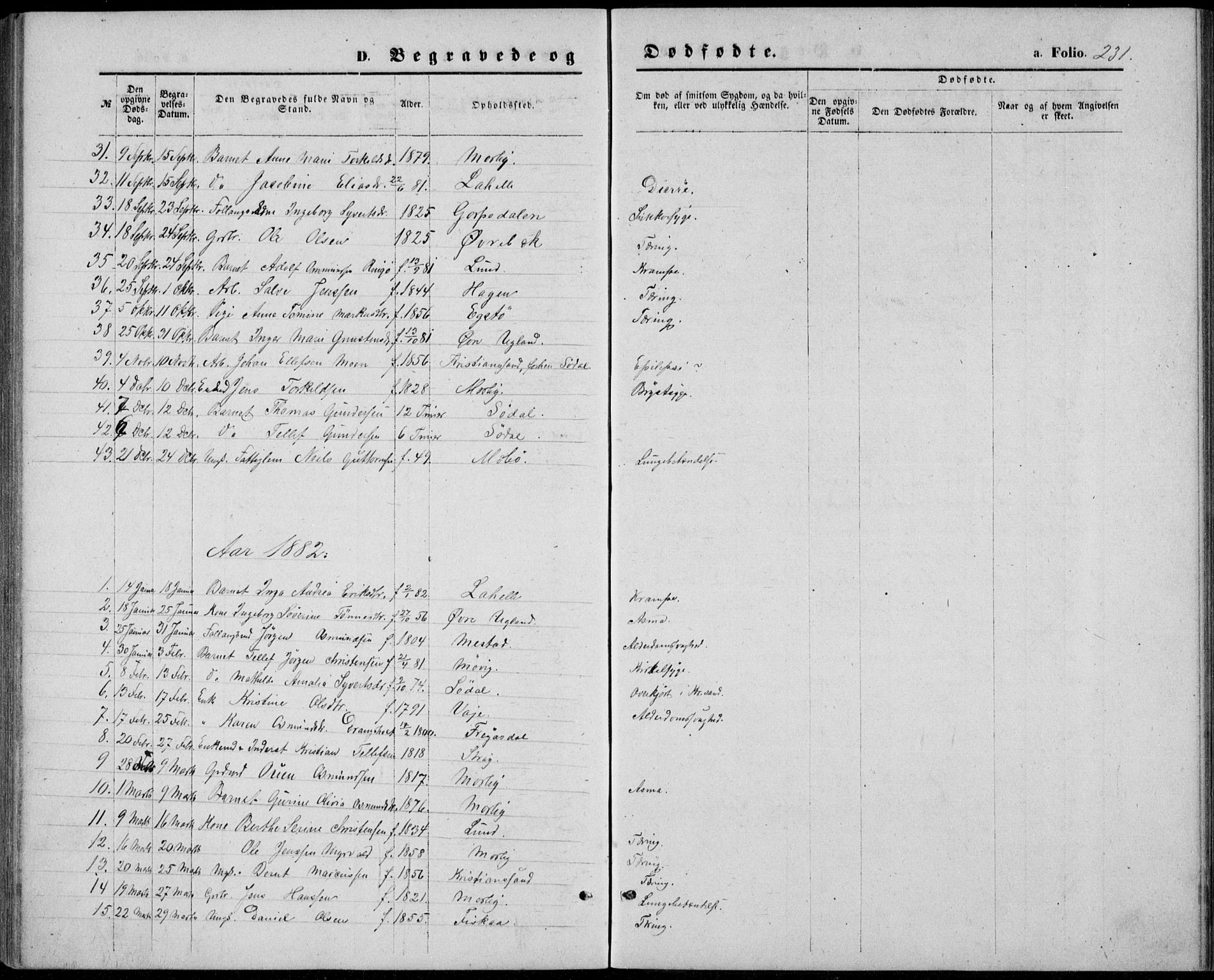 Oddernes sokneprestkontor, AV/SAK-1111-0033/F/Fb/Fba/L0007: Parish register (copy) no. B 7, 1869-1887, p. 231