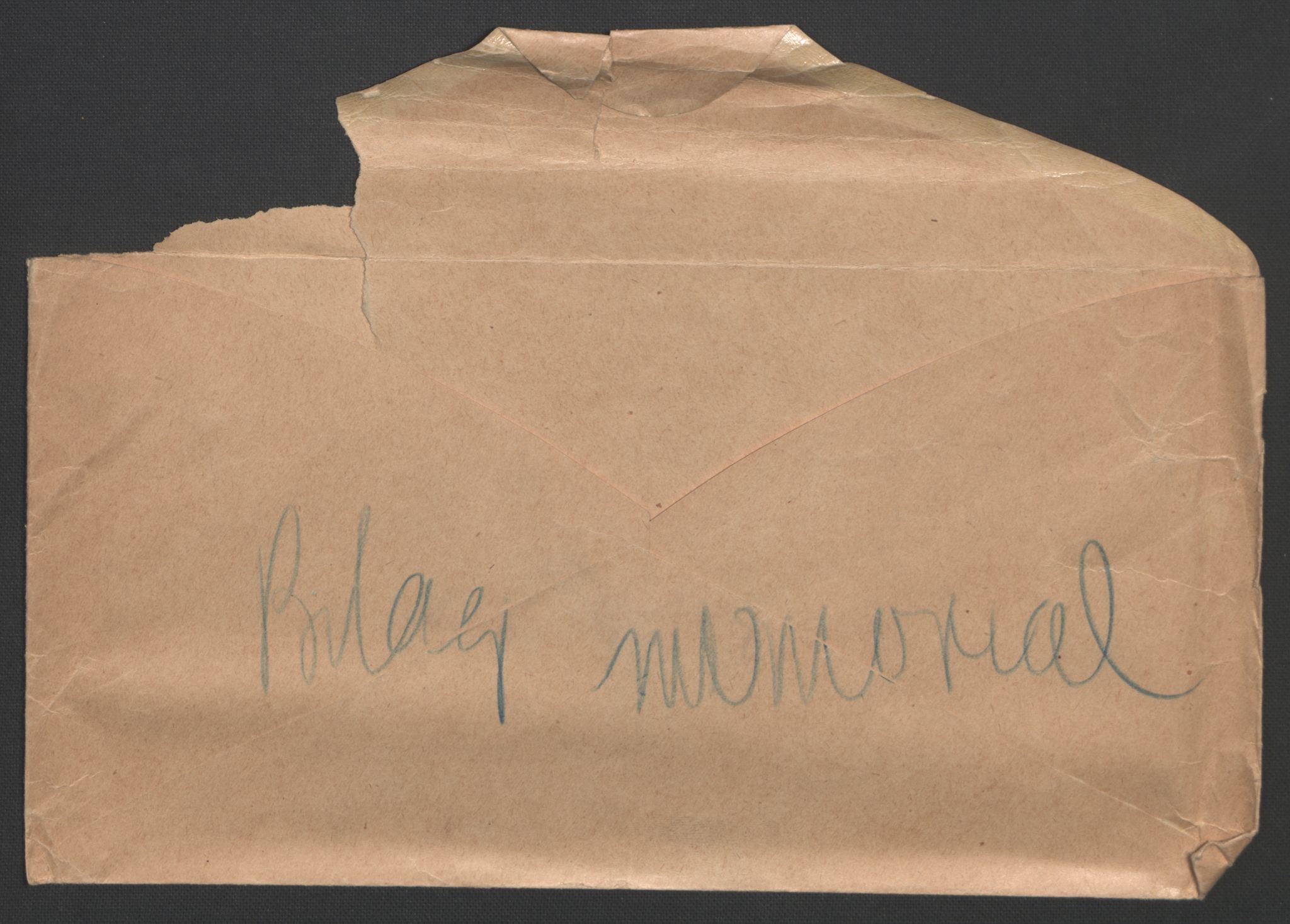 Arbeidskomitéen for Fridtjof Nansens polarekspedisjon, AV/RA-PA-0061/R/L0009/0002: Regnskapsbilag / Memorialbilage, 1891-1895, p. 4