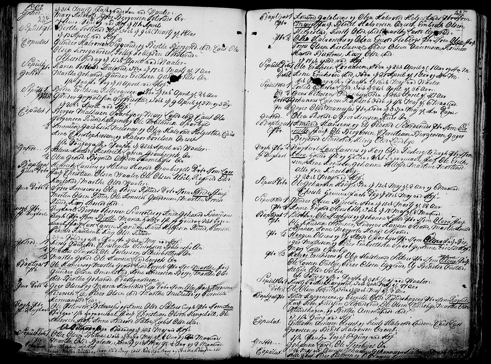 Hof prestekontor, AV/SAH-PREST-038/H/Ha/Haa/L0004: Parish register (official) no. 4, 1790-1815, p. 224-225