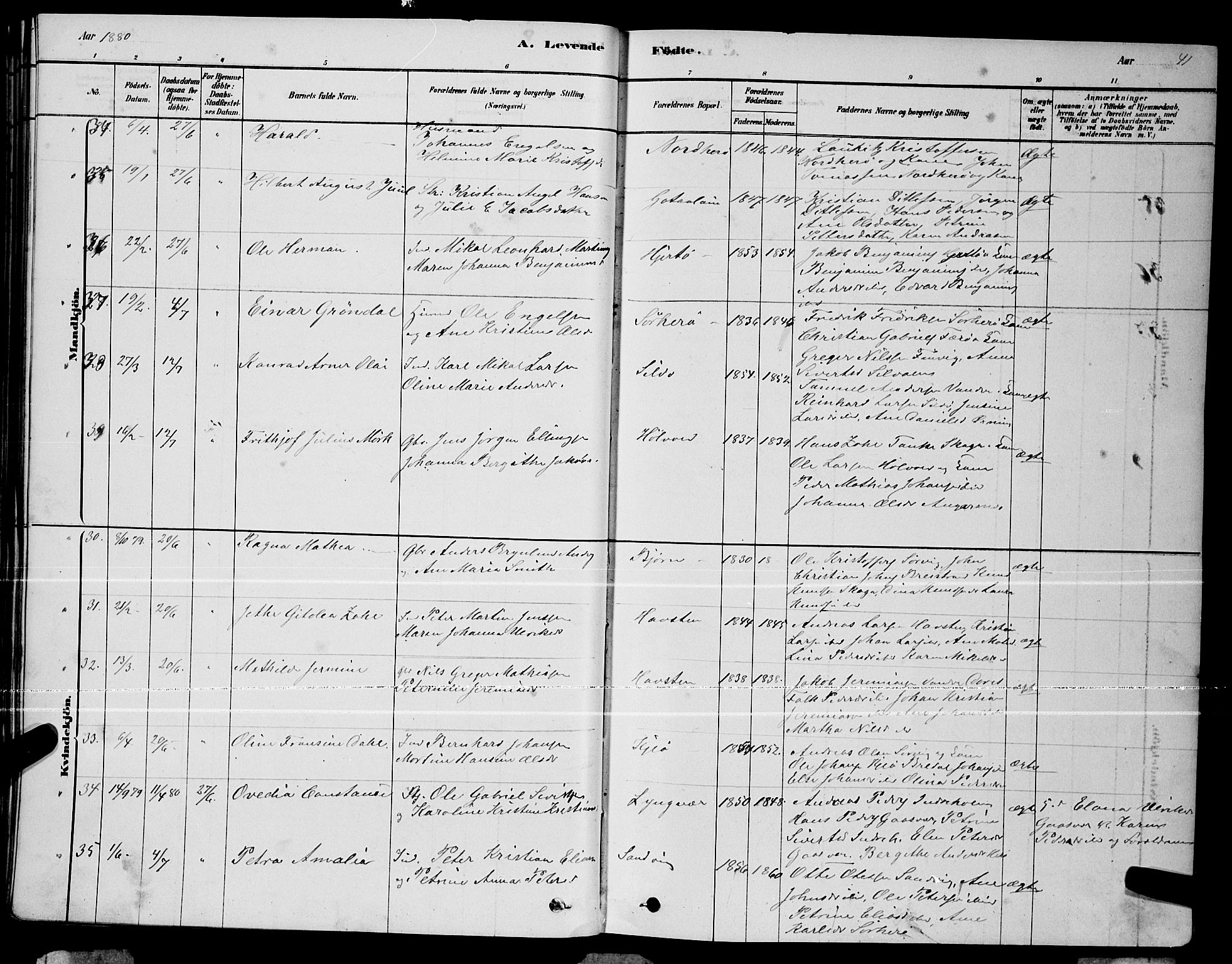 Ministerialprotokoller, klokkerbøker og fødselsregistre - Nordland, AV/SAT-A-1459/834/L0513: Parish register (copy) no. 834C04, 1877-1892, p. 41