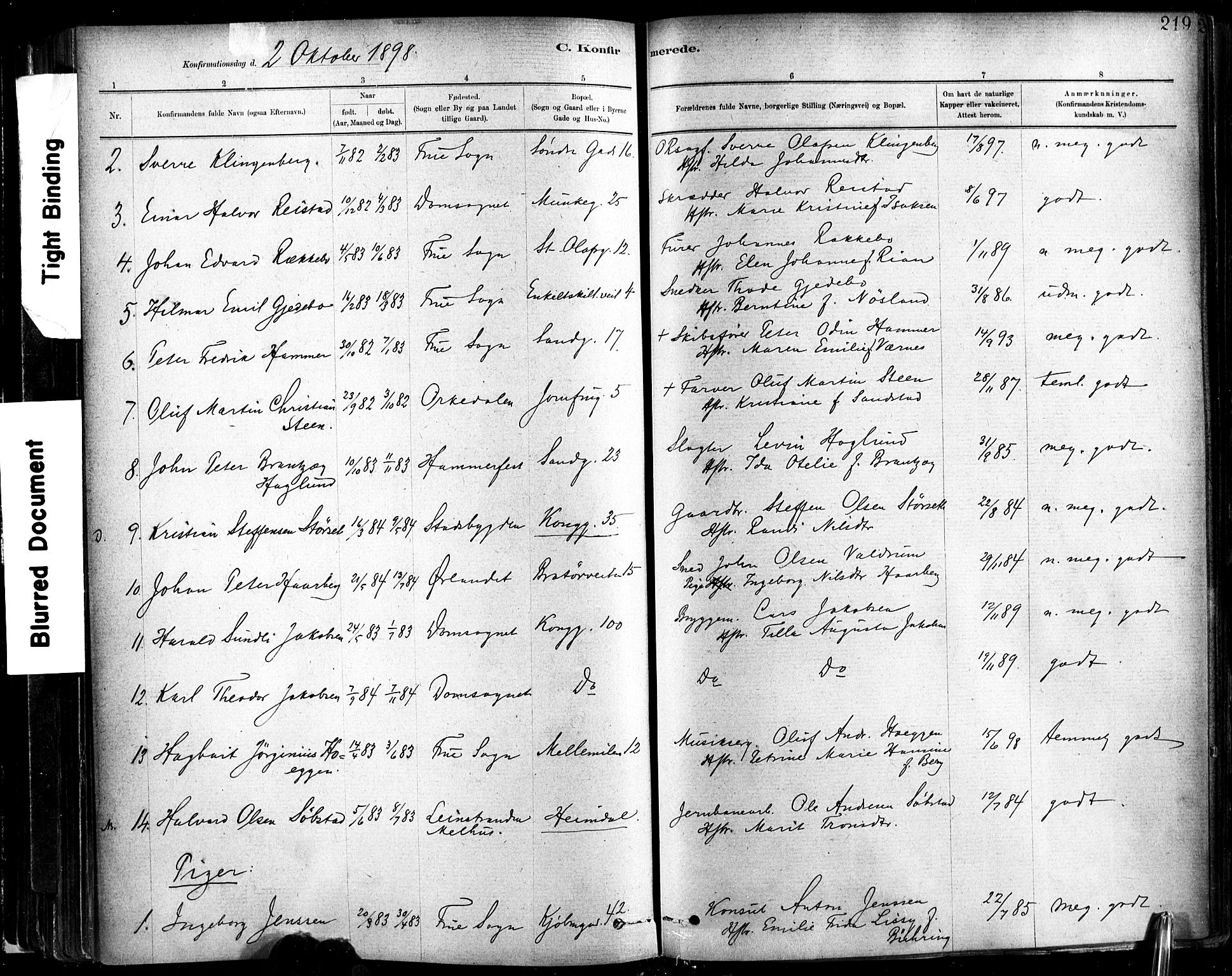 Ministerialprotokoller, klokkerbøker og fødselsregistre - Sør-Trøndelag, AV/SAT-A-1456/602/L0119: Parish register (official) no. 602A17, 1880-1901, p. 219