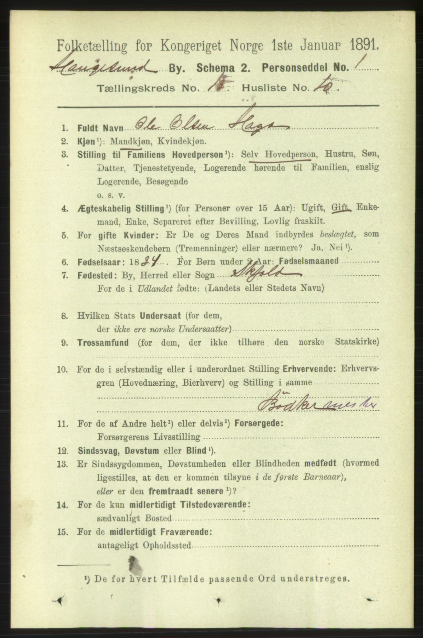 RA, 1891 census for 1106 Haugesund, 1891, p. 4407