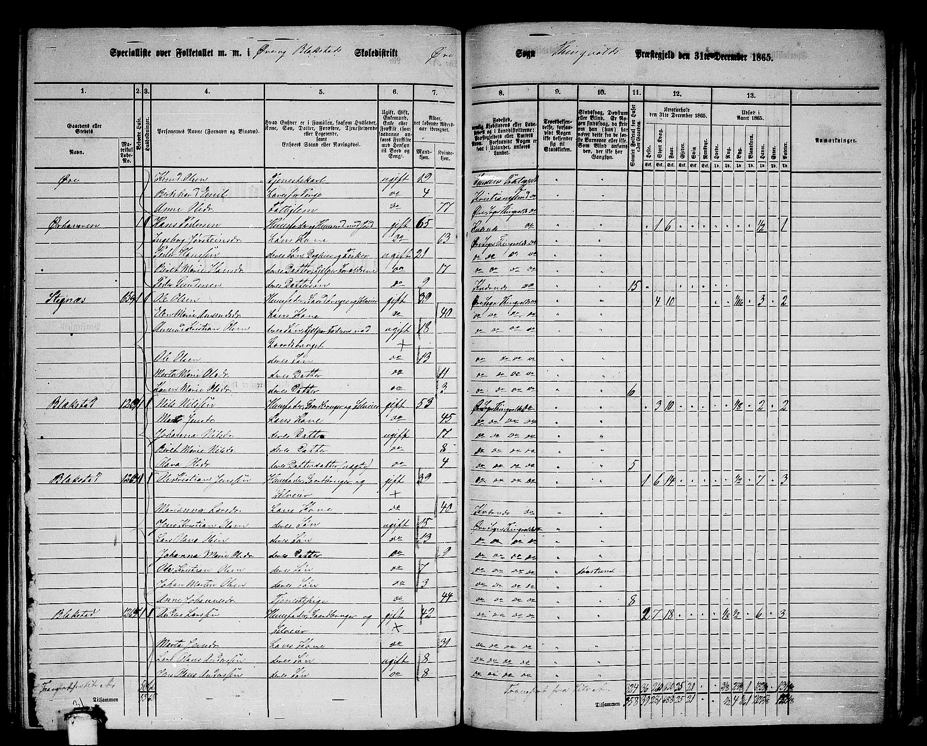 RA, 1865 census for Tingvoll, 1865, p. 199