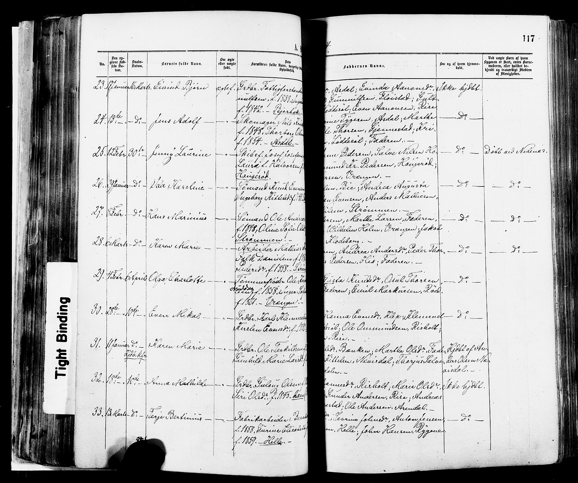 Øyestad sokneprestkontor, AV/SAK-1111-0049/F/Fa/L0016: Parish register (official) no. A 16, 1874-1886, p. 117