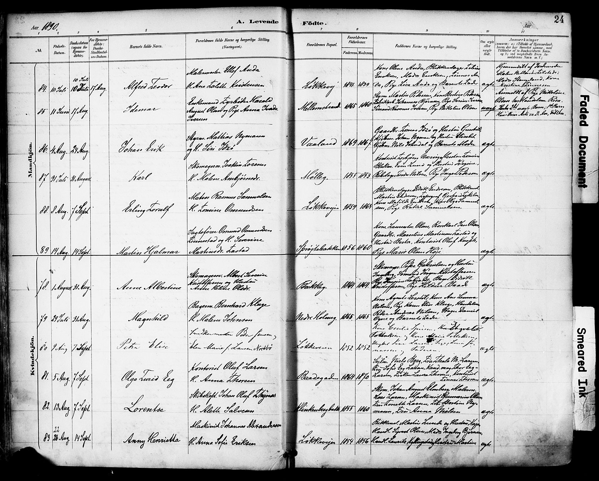 Domkirken sokneprestkontor, AV/SAST-A-101812/001/30/30BA/L0030: Parish register (official) no. A 29, 1889-1902, p. 24