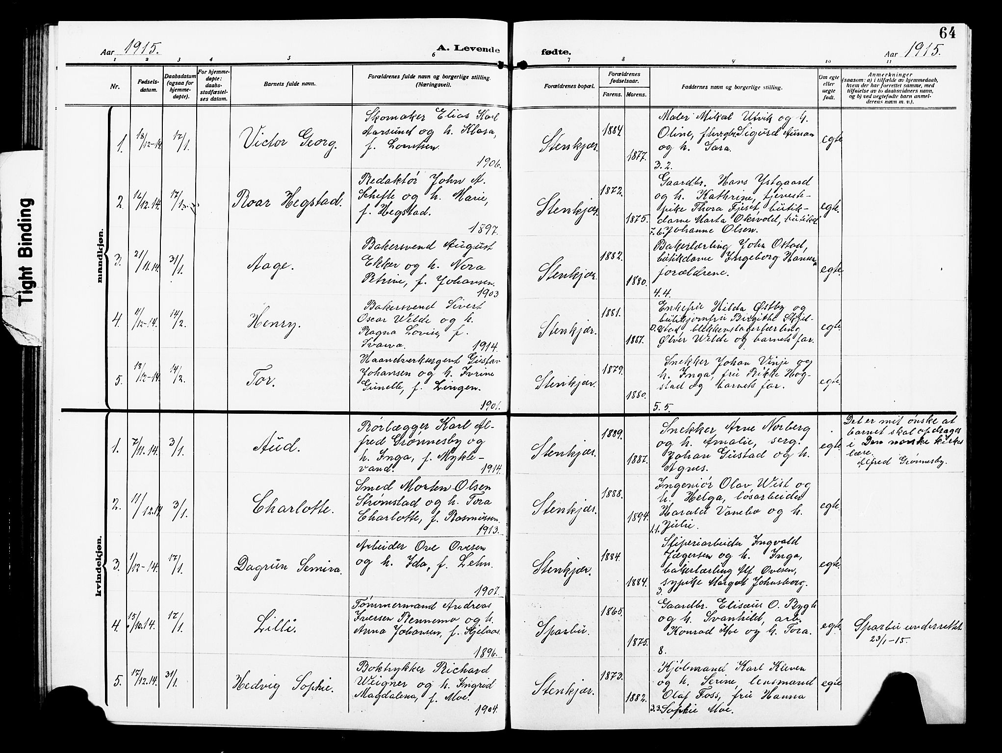 Ministerialprotokoller, klokkerbøker og fødselsregistre - Nord-Trøndelag, AV/SAT-A-1458/739/L0376: Parish register (copy) no. 739C04, 1908-1917, p. 64