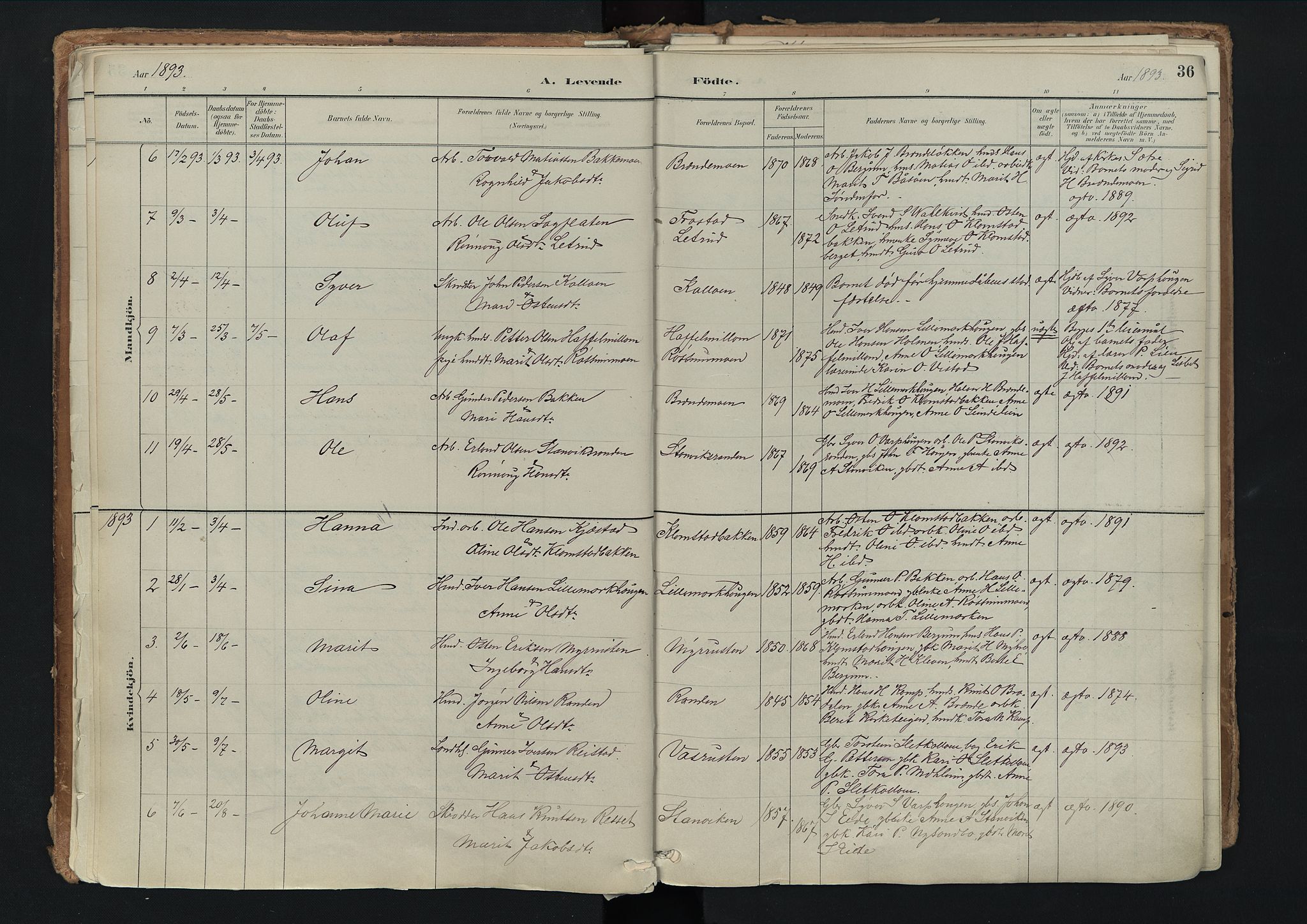 Nord-Fron prestekontor, SAH/PREST-080/H/Ha/Haa/L0003: Parish register (official) no. 3, 1884-1914, p. 36