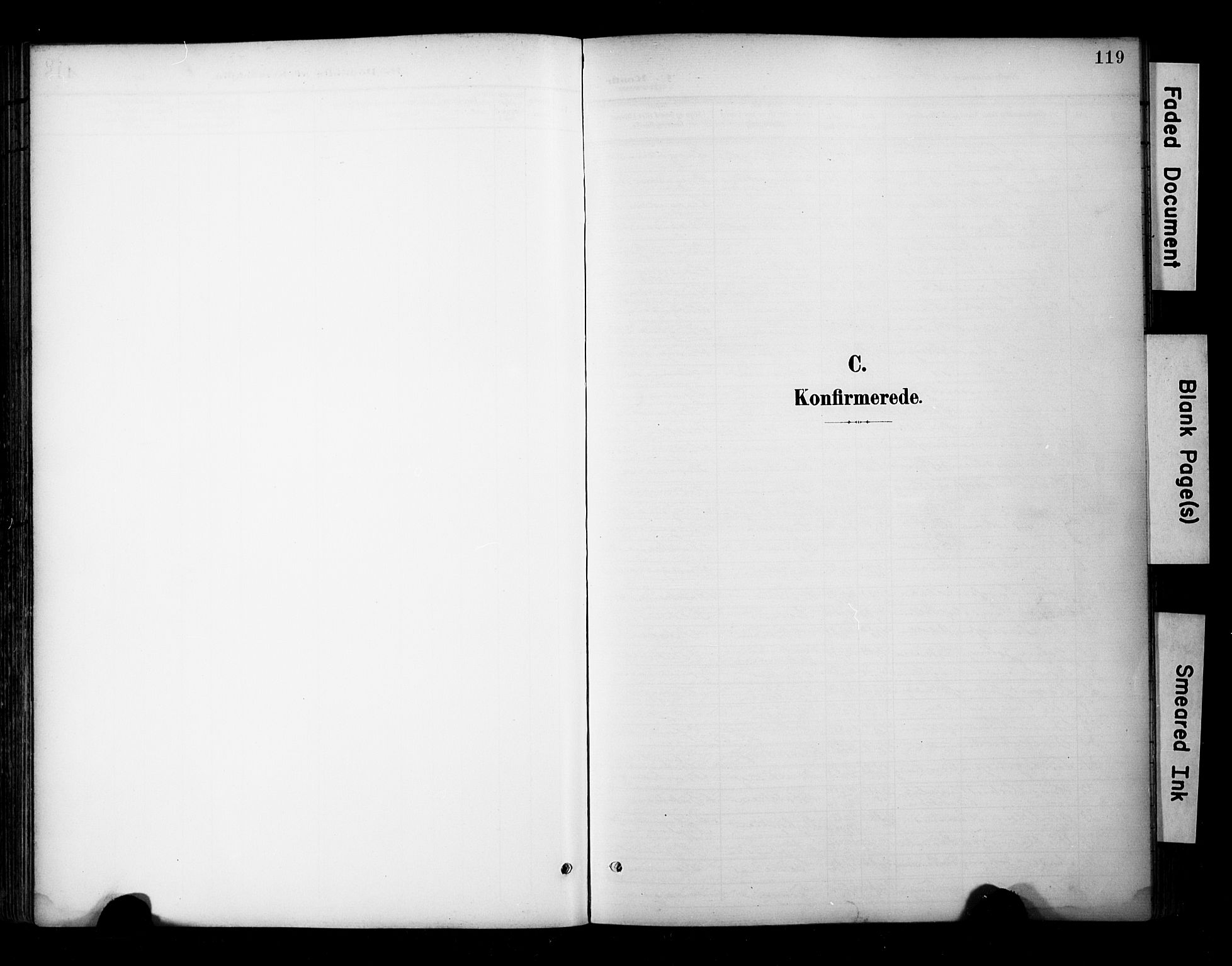 Ministerialprotokoller, klokkerbøker og fødselsregistre - Sør-Trøndelag, AV/SAT-A-1456/681/L0936: Parish register (official) no. 681A14, 1899-1908, p. 119