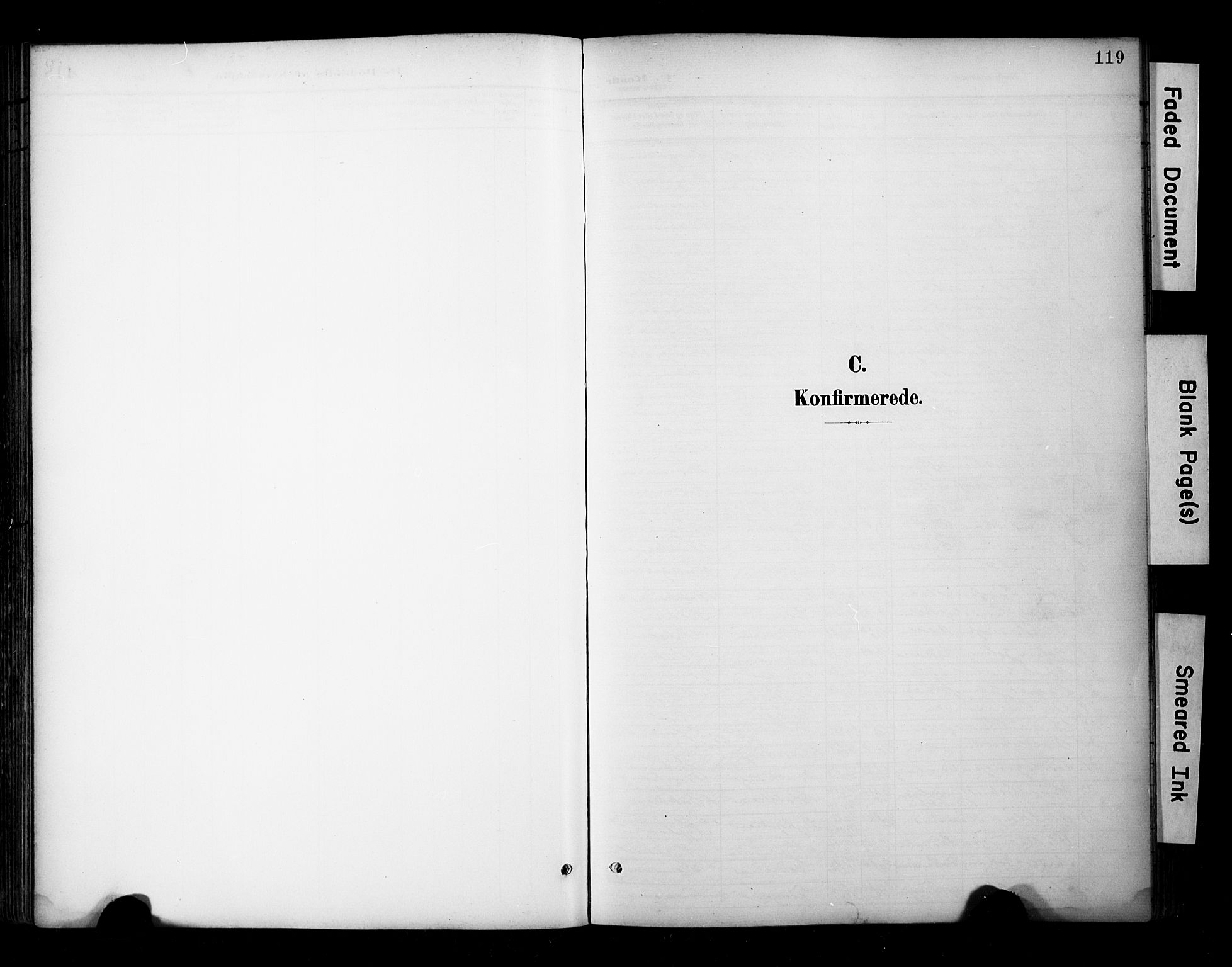 Ministerialprotokoller, klokkerbøker og fødselsregistre - Sør-Trøndelag, SAT/A-1456/681/L0936: Parish register (official) no. 681A14, 1899-1908, p. 119