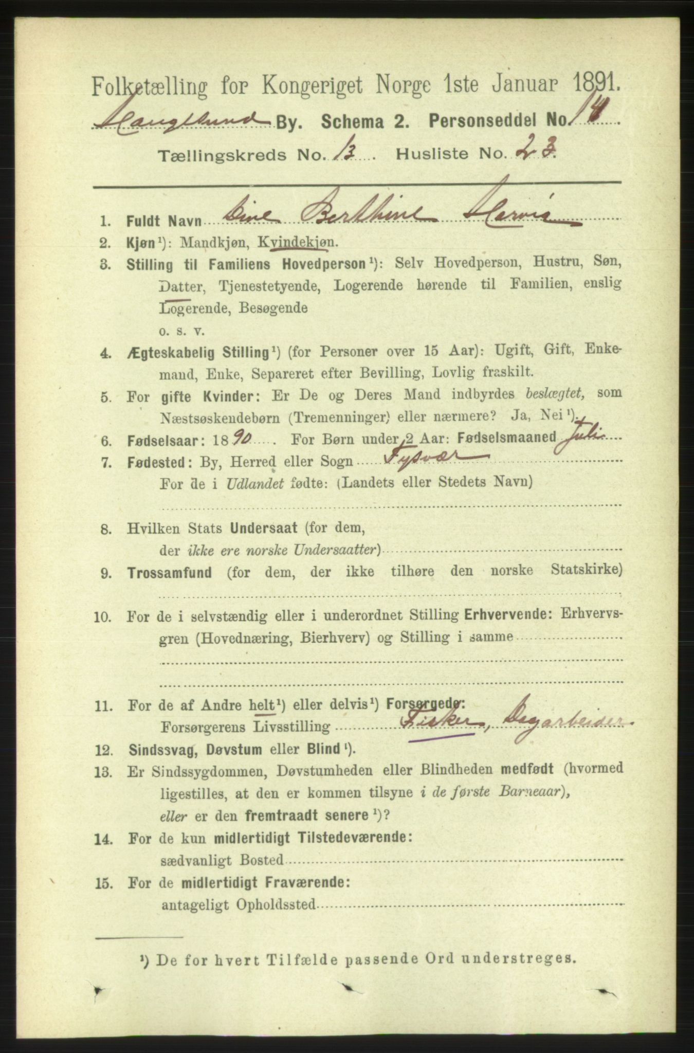 RA, 1891 census for 1106 Haugesund, 1891, p. 4566