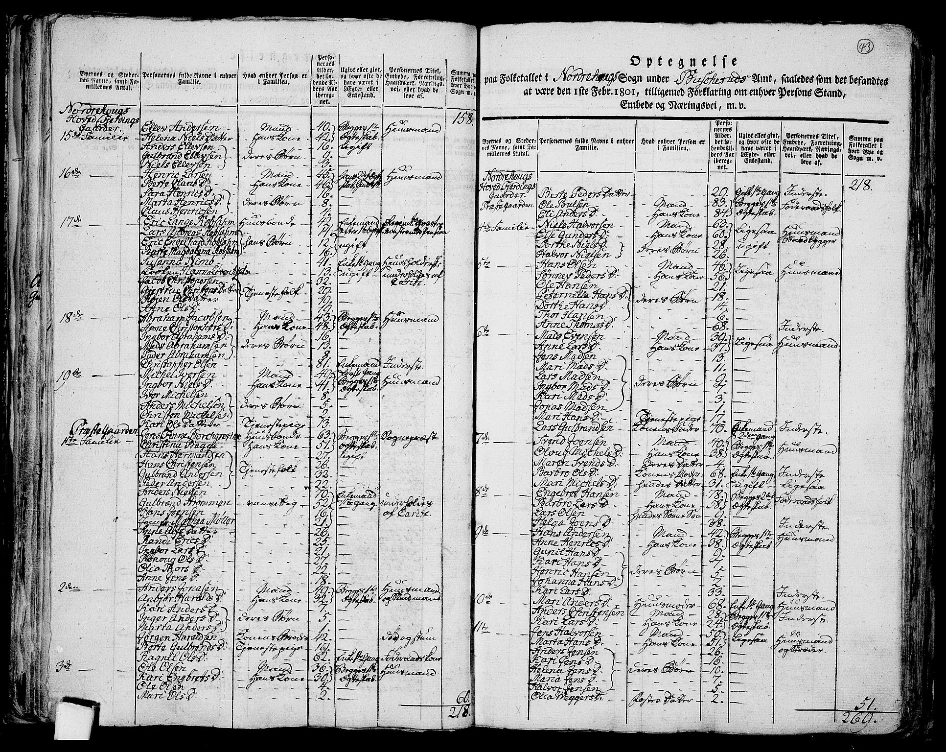 RA, 1801 census for 0613P Norderhov, 1801, p. 42b-43a