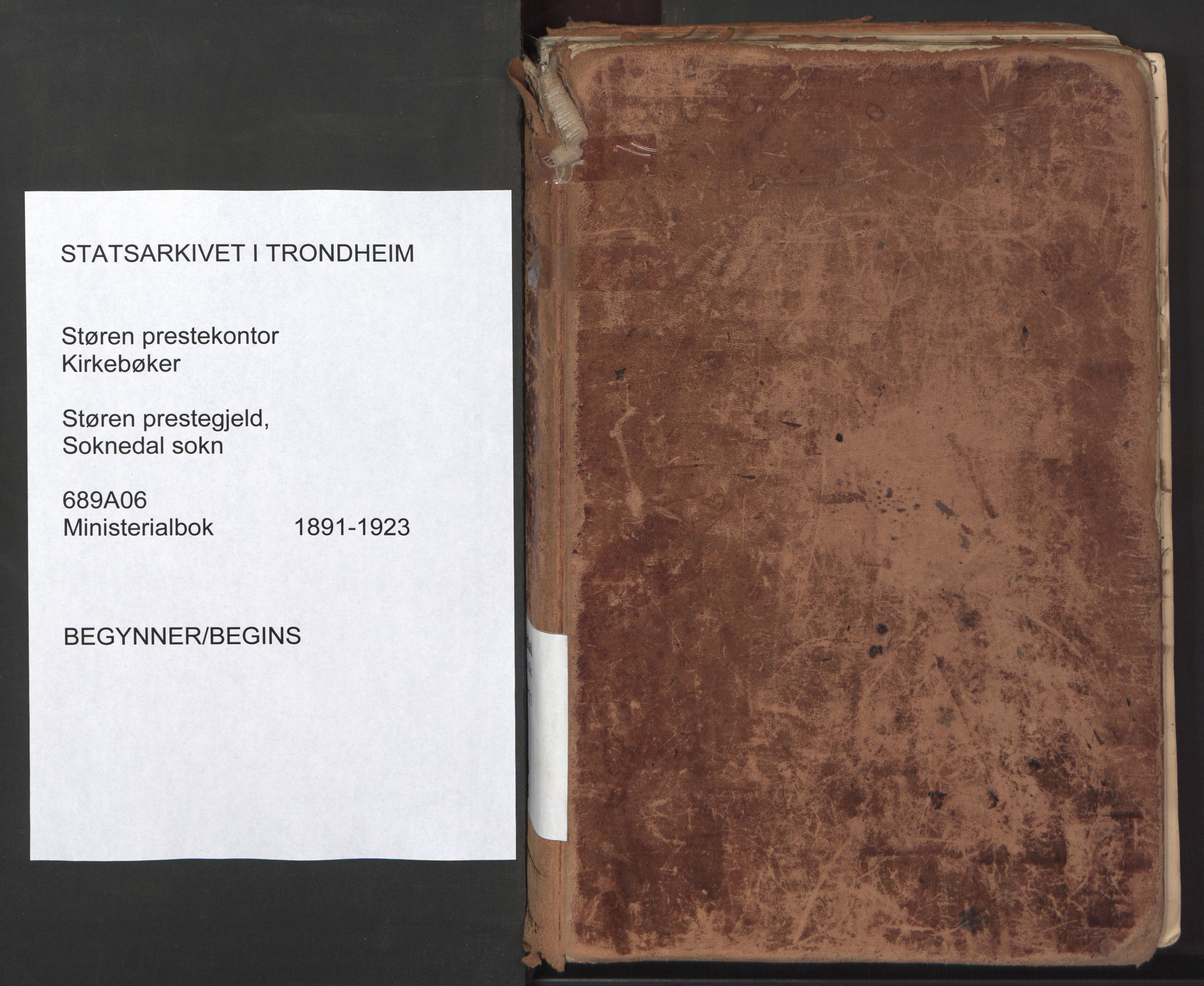 Ministerialprotokoller, klokkerbøker og fødselsregistre - Sør-Trøndelag, SAT/A-1456/689/L1041: Parish register (official) no. 689A06, 1891-1923