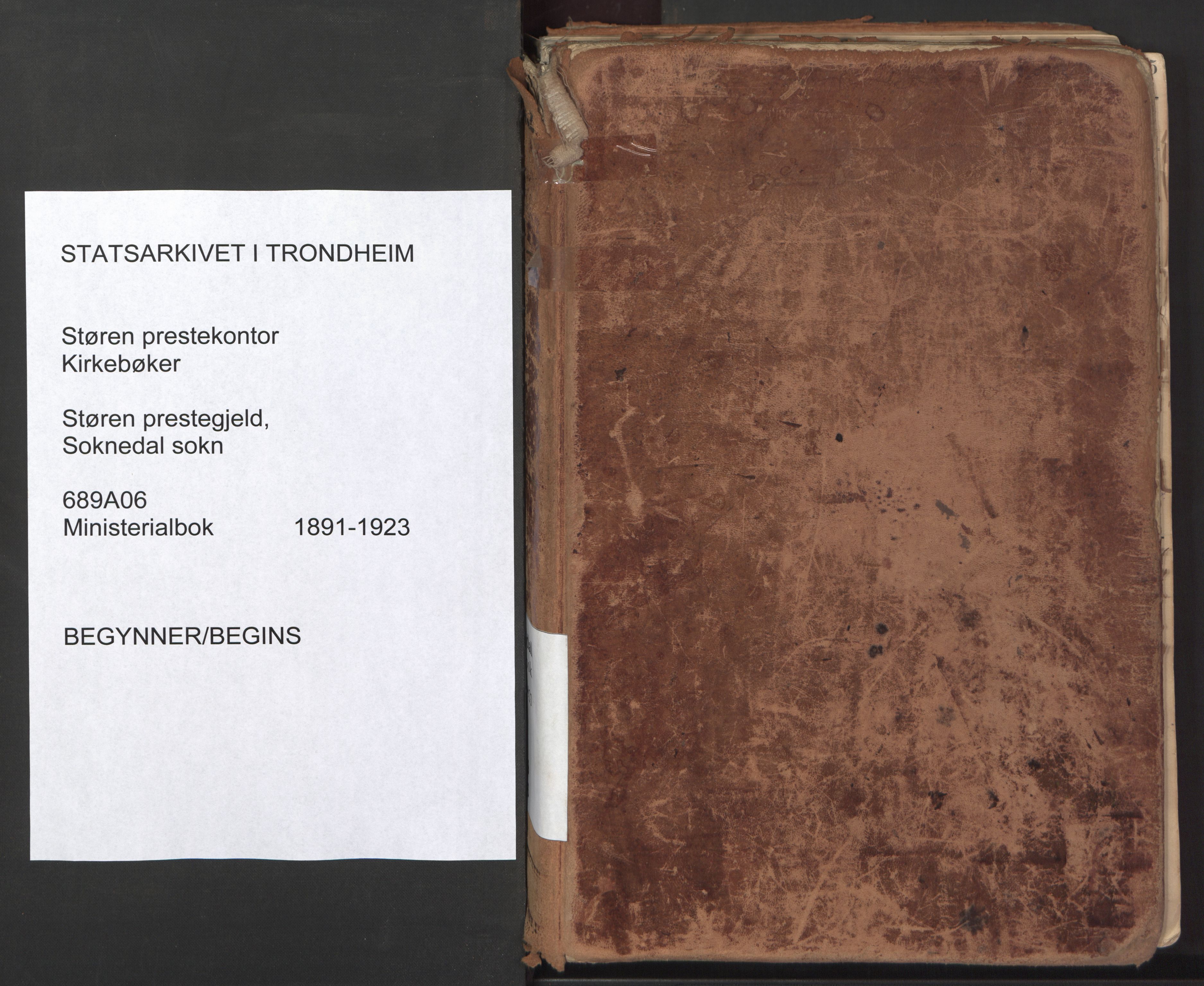 Ministerialprotokoller, klokkerbøker og fødselsregistre - Sør-Trøndelag, AV/SAT-A-1456/689/L1041: Parish register (official) no. 689A06, 1891-1923