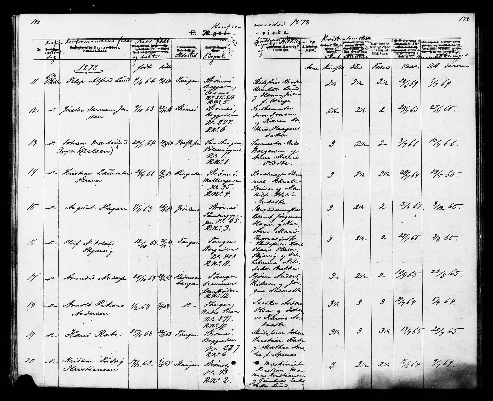 Strømsø kirkebøker, AV/SAKO-A-246/F/Fa/L0020: Parish register (official) no. I 20, 1870-1878, p. 172