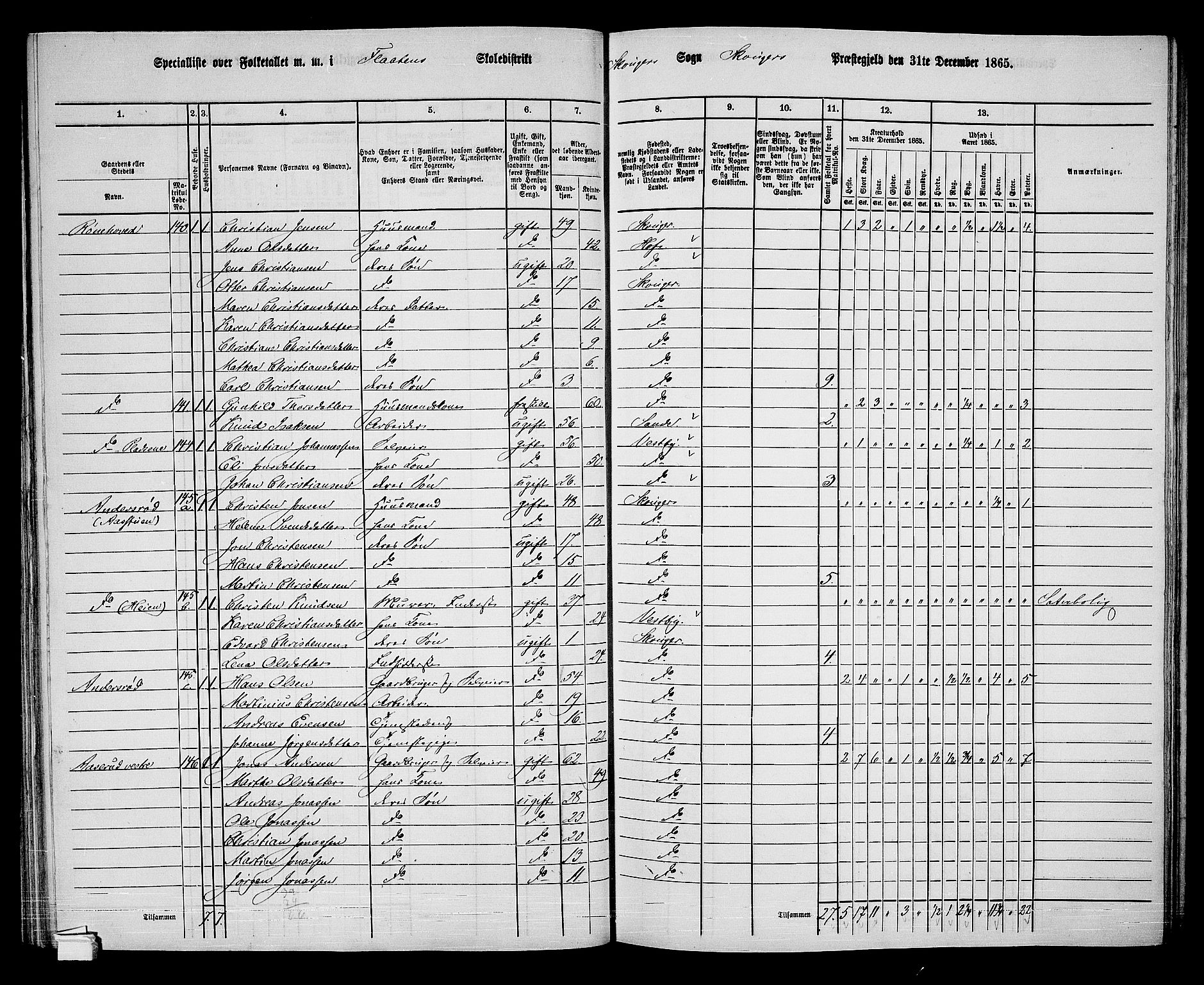 RA, 1865 census for Skoger, 1865, p. 88
