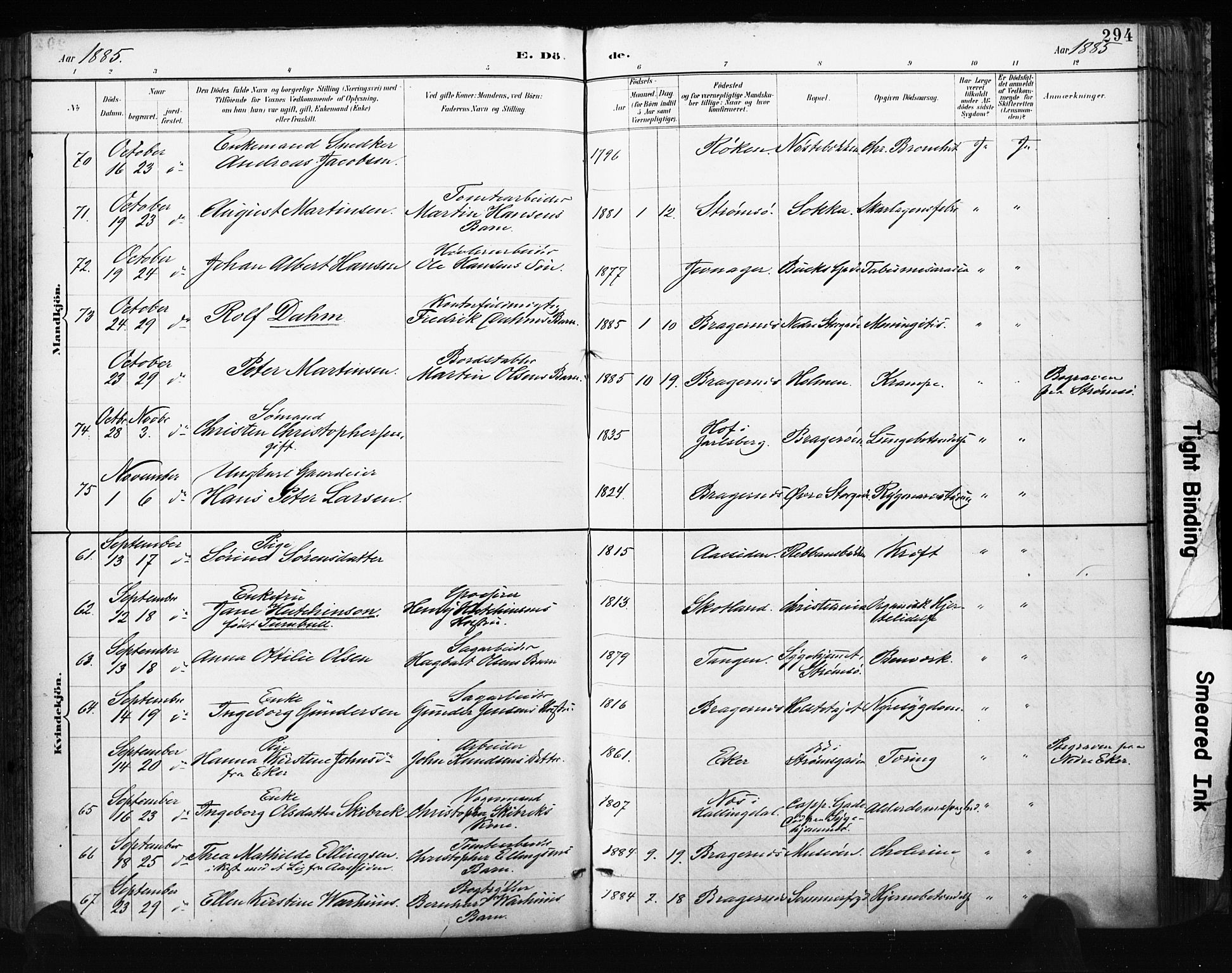 Bragernes kirkebøker, AV/SAKO-A-6/F/Fb/L0007: Parish register (official) no. II 7, 1885-1893, p. 294