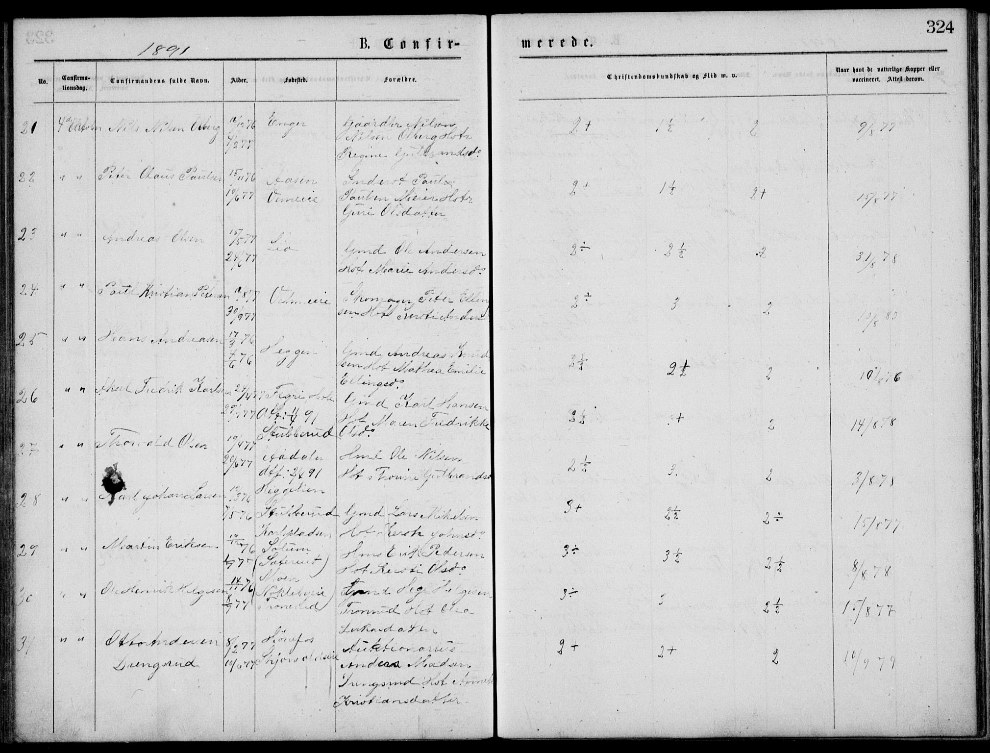 Norderhov kirkebøker, AV/SAKO-A-237/G/Gb/L0001: Parish register (copy) no. II 1, 1876-1899, p. 324