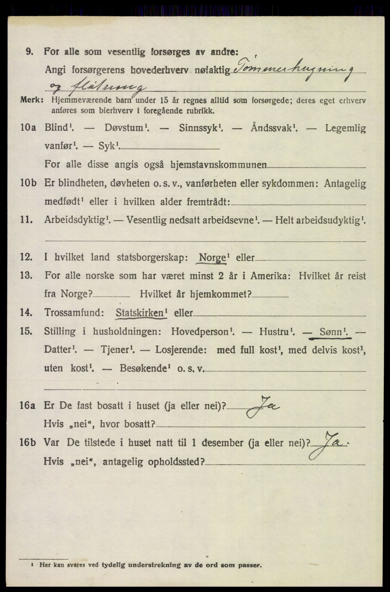 SAH, 1920 census for Trysil, 1920, p. 15516