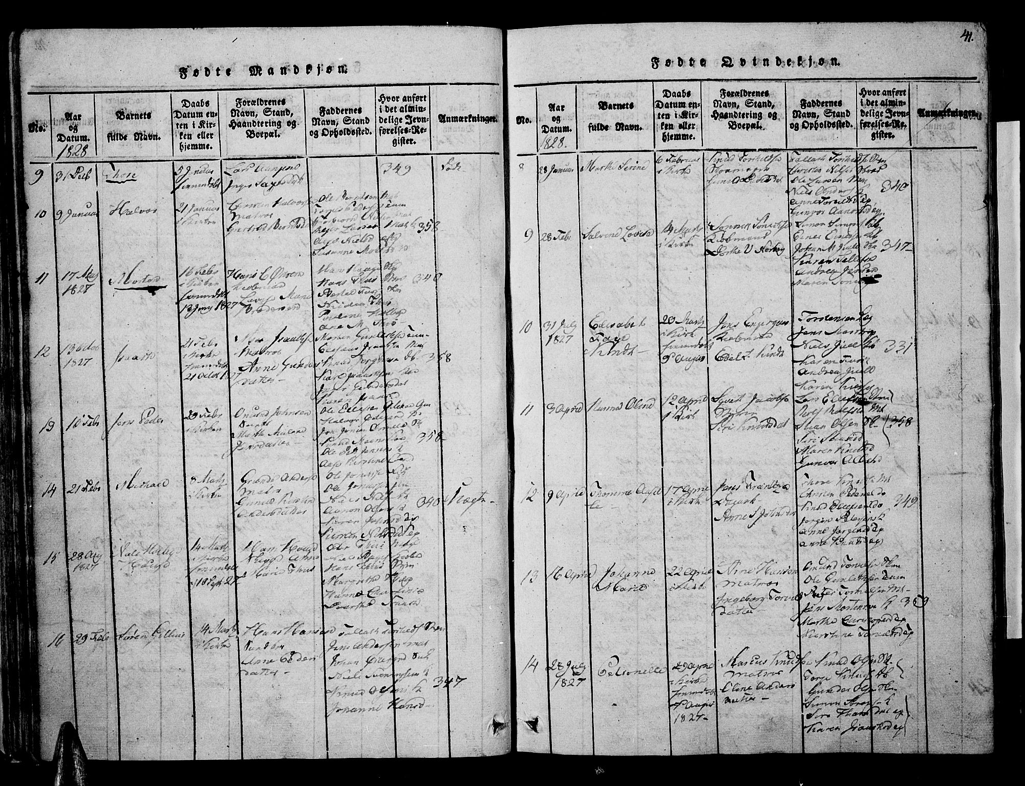 Risør sokneprestkontor, SAK/1111-0035/F/Fa/L0002: Parish register (official) no. A 2, 1815-1839, p. 41