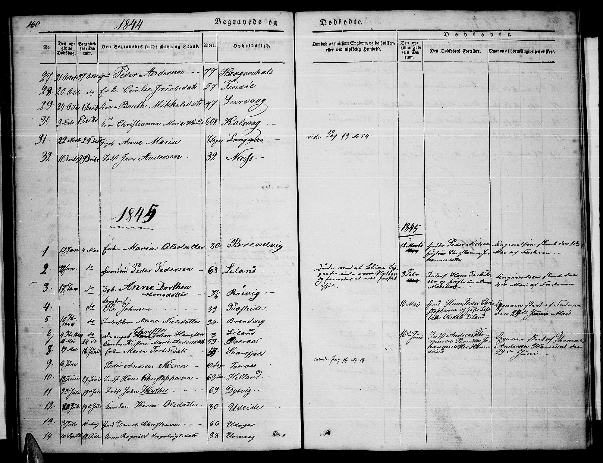 Ministerialprotokoller, klokkerbøker og fødselsregistre - Nordland, AV/SAT-A-1459/859/L0856: Parish register (copy) no. 859C02, 1843-1854, p. 160