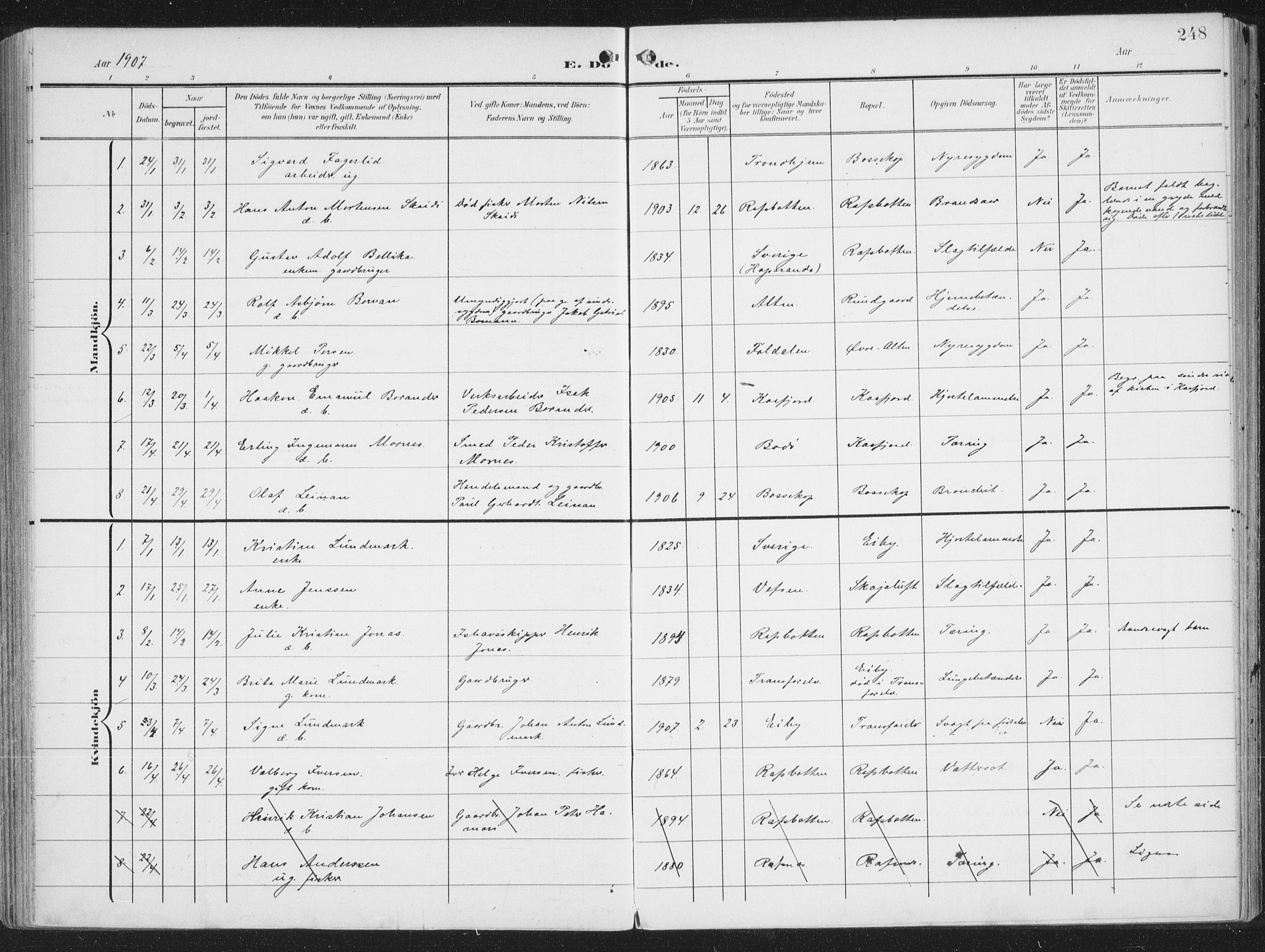 Alta sokneprestkontor, SATØ/S-1338/H/Ha/L0005.kirke: Parish register (official) no. 5, 1904-1918, p. 248