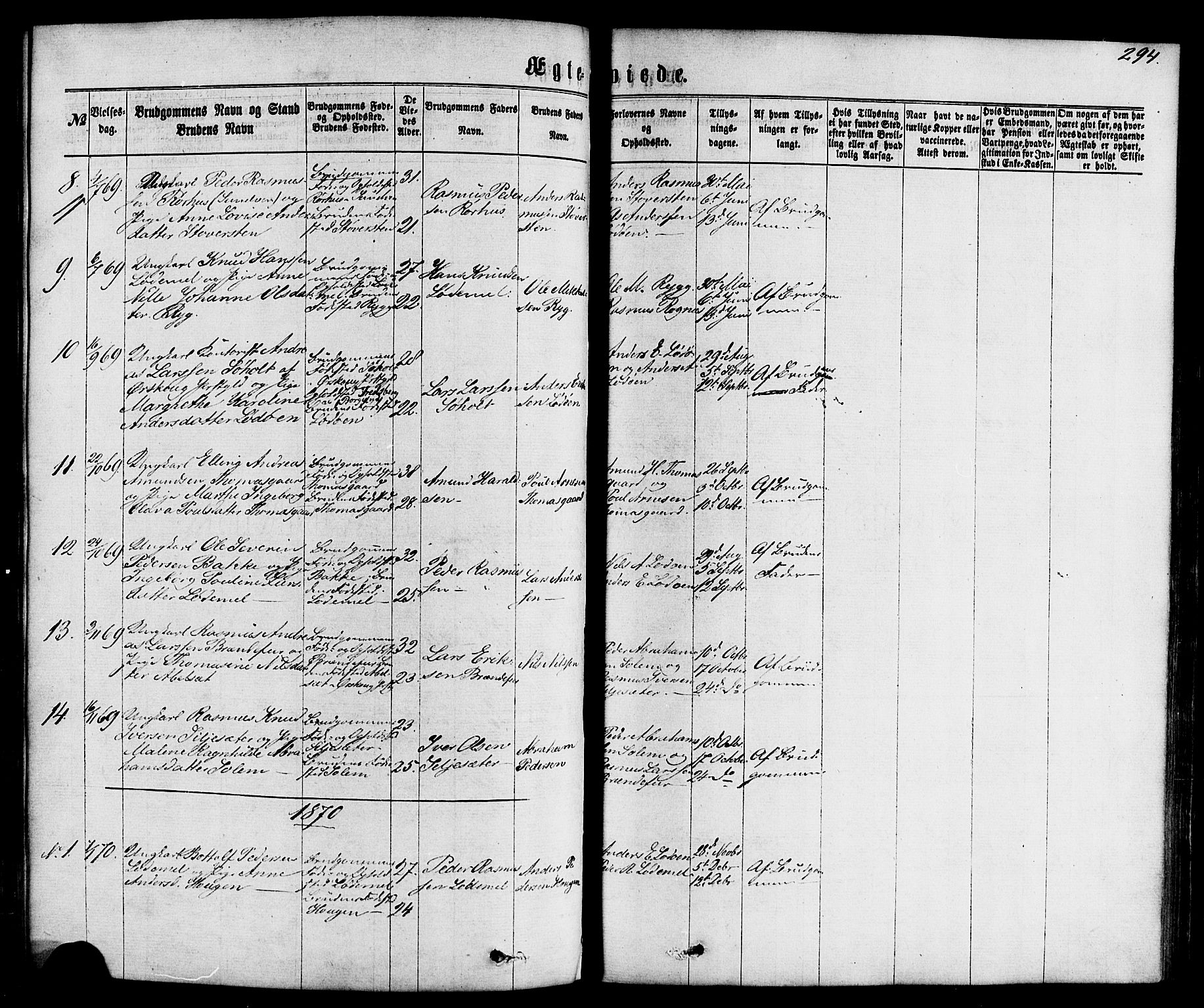 Hornindal sokneprestembete, SAB/A-82401/H/Haa/Haaa/L0002: Parish register (official) no. A 2, 1867-1884, p. 294