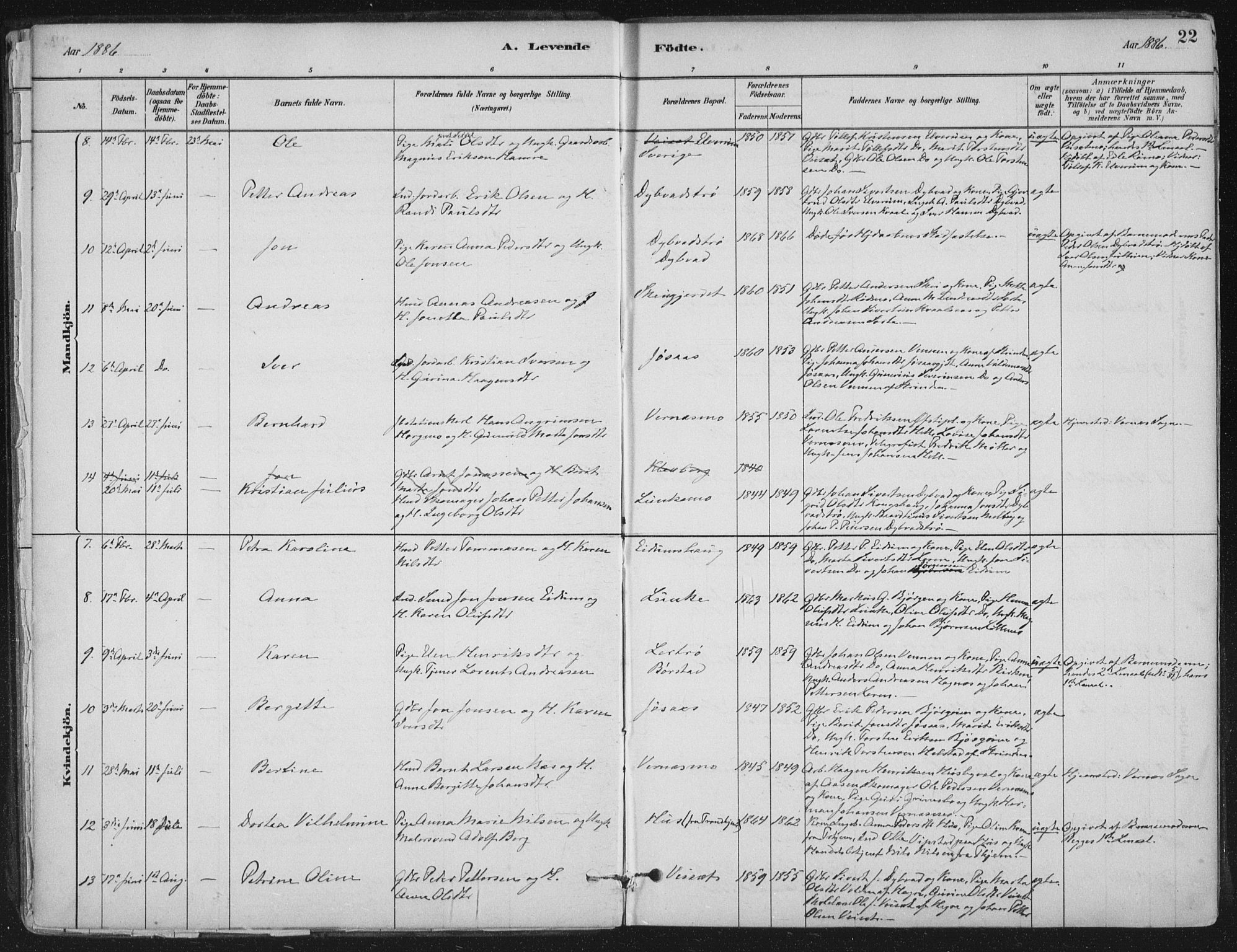Ministerialprotokoller, klokkerbøker og fødselsregistre - Nord-Trøndelag, AV/SAT-A-1458/710/L0095: Parish register (official) no. 710A01, 1880-1914, p. 22