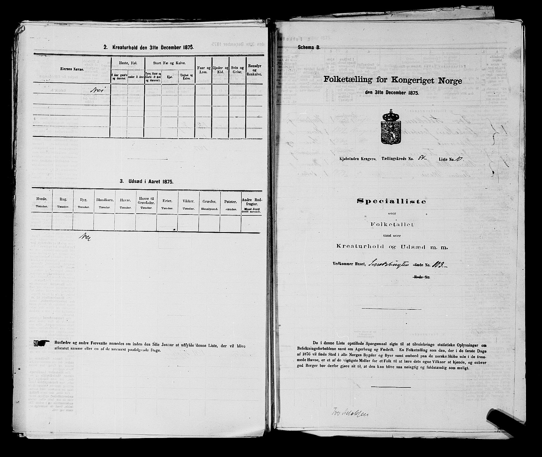 SAKO, 1875 census for 0801P Kragerø, 1875, p. 1203