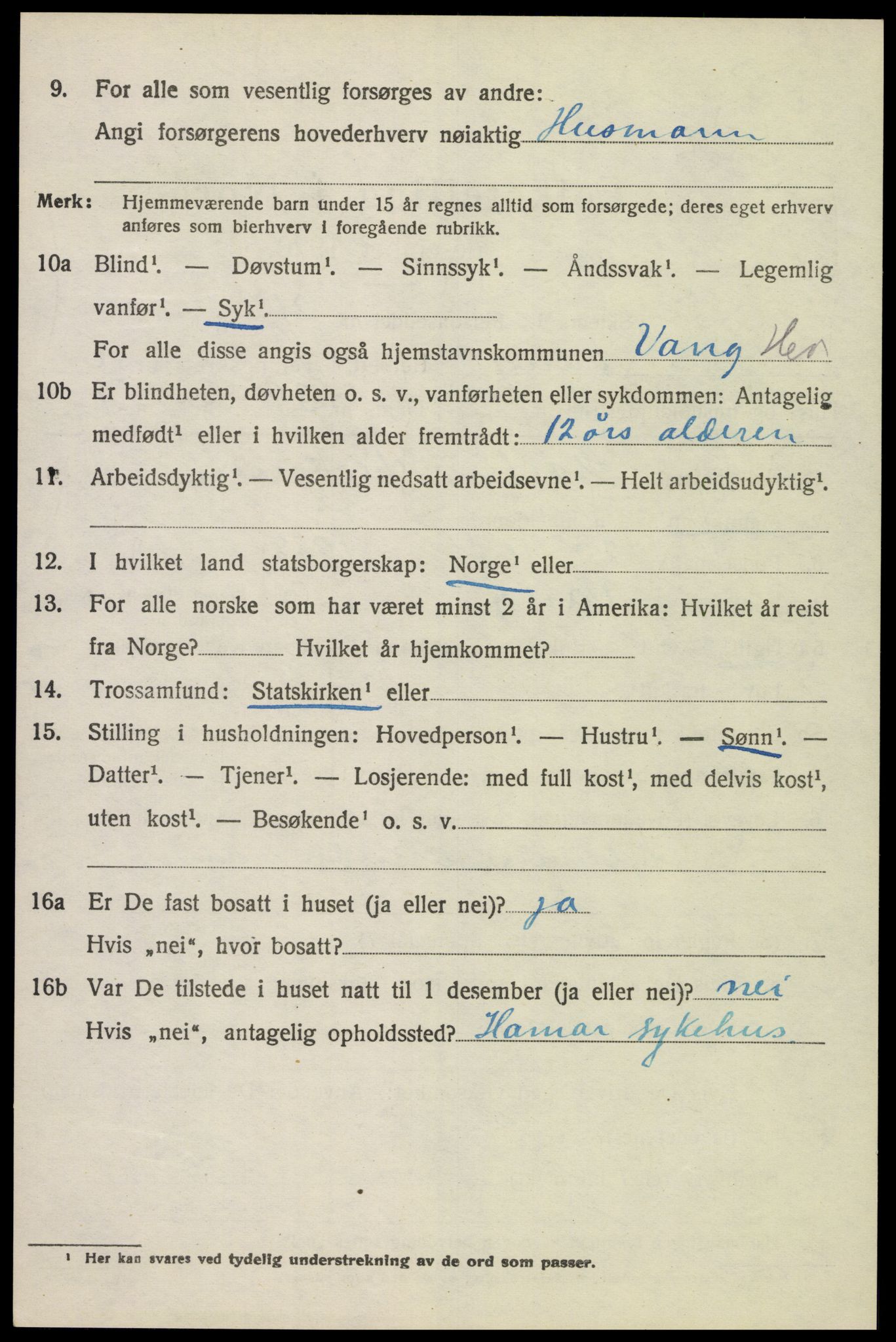 SAH, 1920 census for Vang (Hedmark), 1920, p. 15386