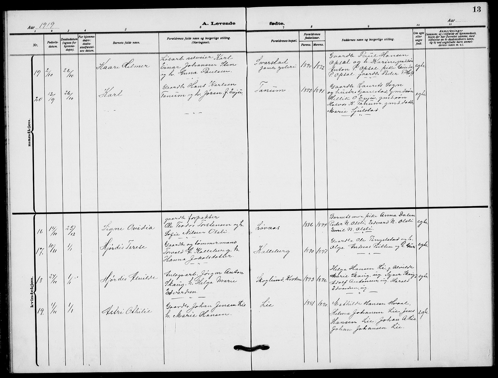 Lardal kirkebøker, AV/SAKO-A-350/G/Ga/L0003a: Parish register (copy) no. I 3, 1917-1937, p. 13