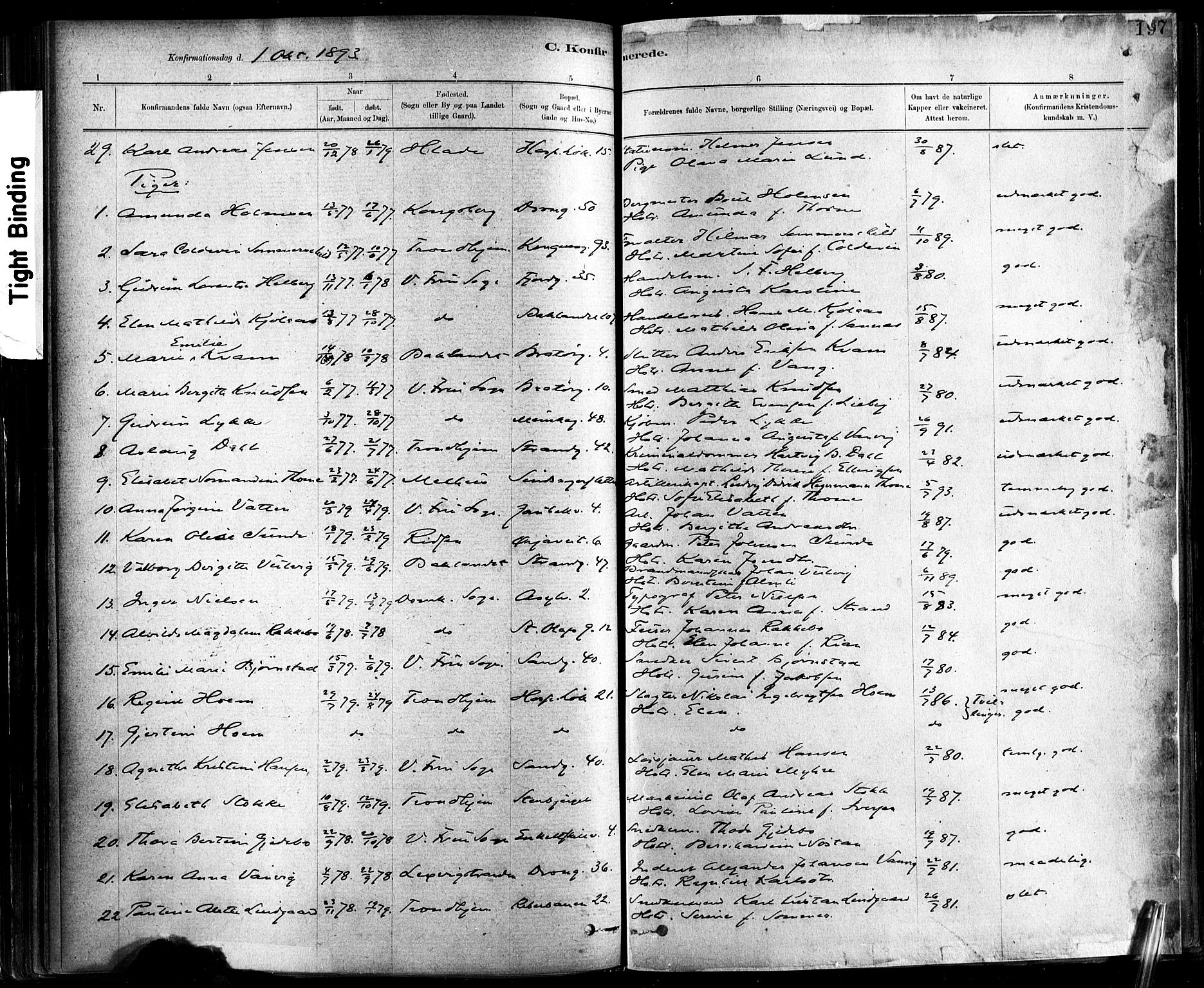 Ministerialprotokoller, klokkerbøker og fødselsregistre - Sør-Trøndelag, SAT/A-1456/602/L0119: Parish register (official) no. 602A17, 1880-1901, p. 197