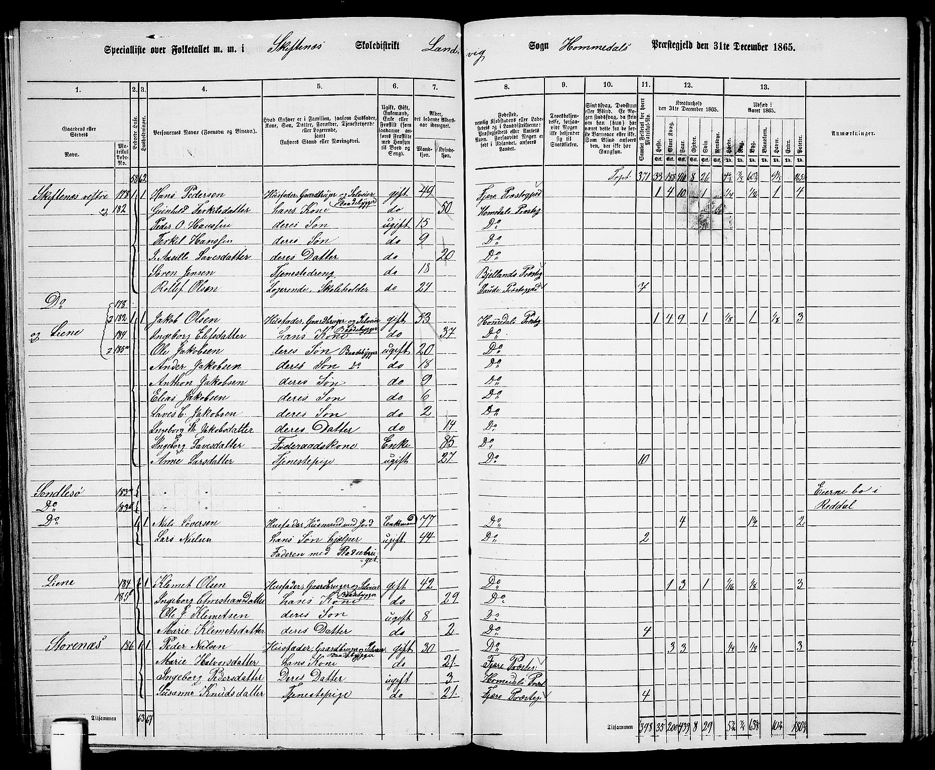 RA, 1865 census for Homedal, 1865, p. 139