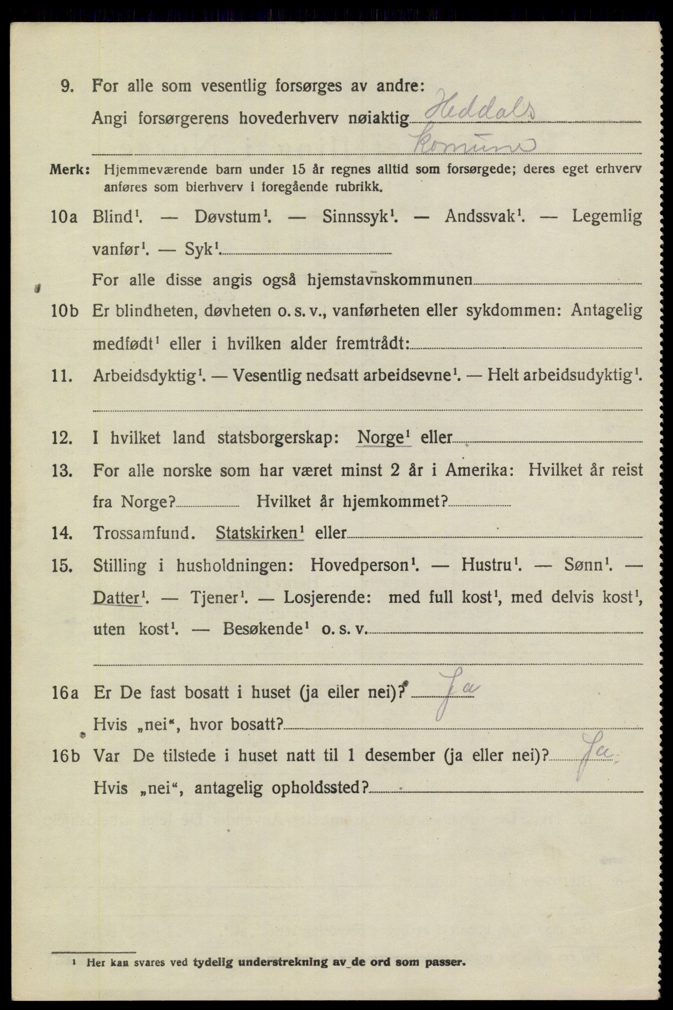 SAKO, 1920 census for Heddal, 1920, p. 6581