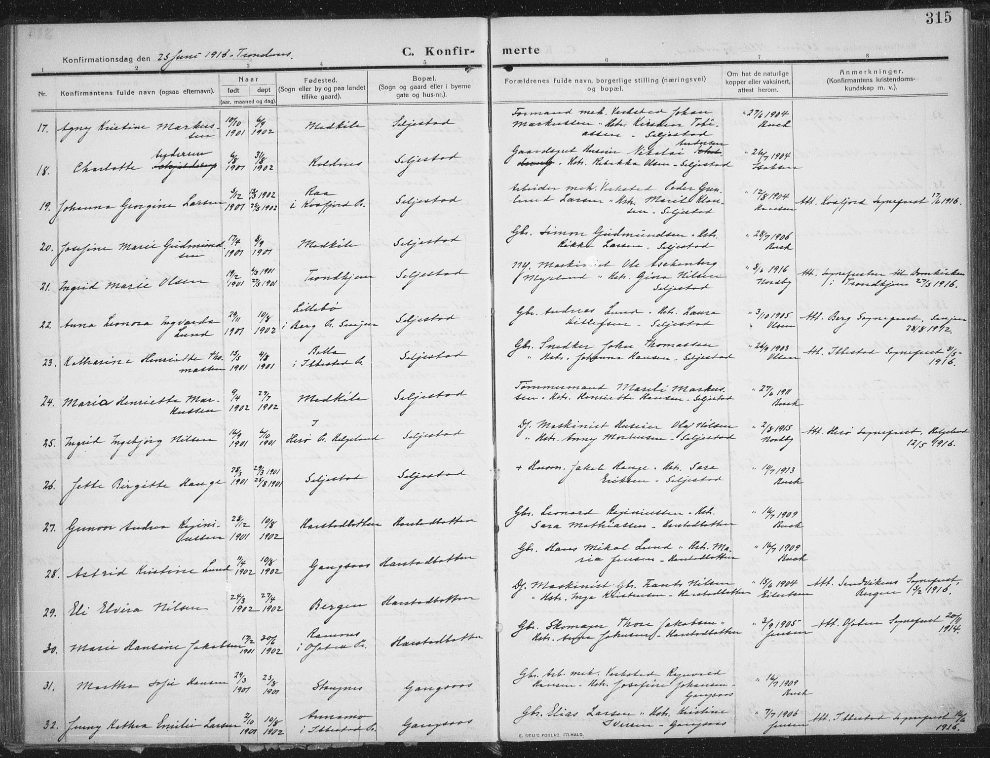 Trondenes sokneprestkontor, AV/SATØ-S-1319/H/Ha/L0018kirke: Parish register (official) no. 18, 1909-1918, p. 315