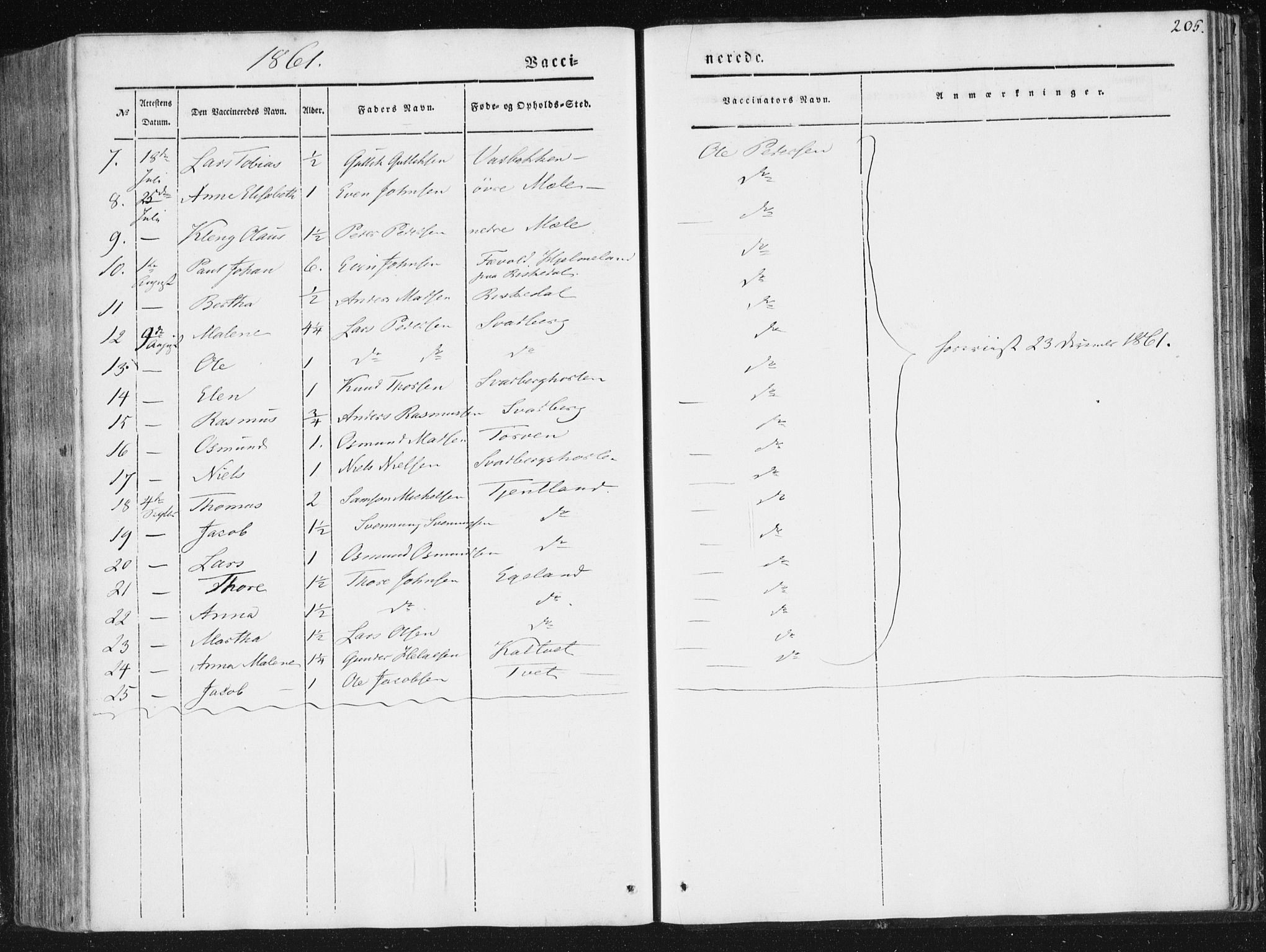 Hjelmeland sokneprestkontor, AV/SAST-A-101843/01/IV/L0008: Parish register (official) no. A 8, 1842-1861, p. 205