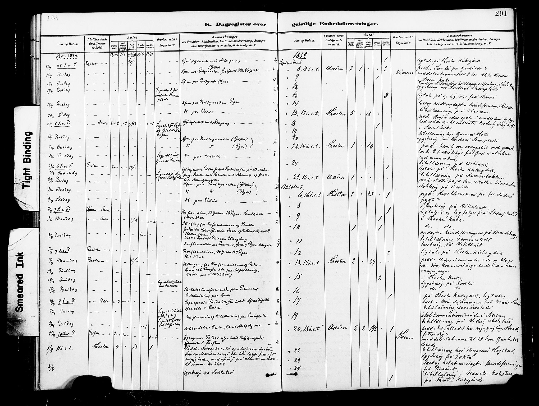 Ministerialprotokoller, klokkerbøker og fødselsregistre - Nord-Trøndelag, AV/SAT-A-1458/713/L0121: Parish register (official) no. 713A10, 1888-1898, p. 201