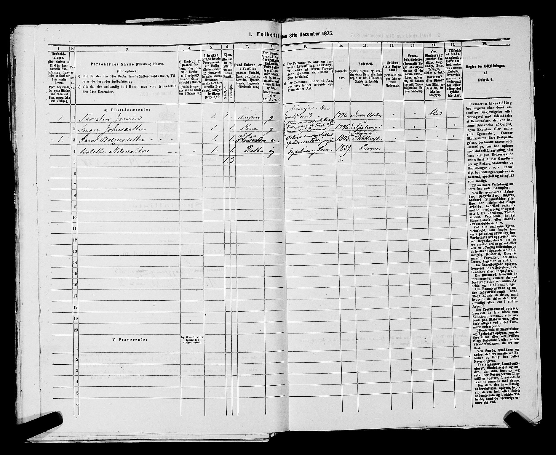 SAKO, 1875 census for 0703P Horten, 1875, p. 1196