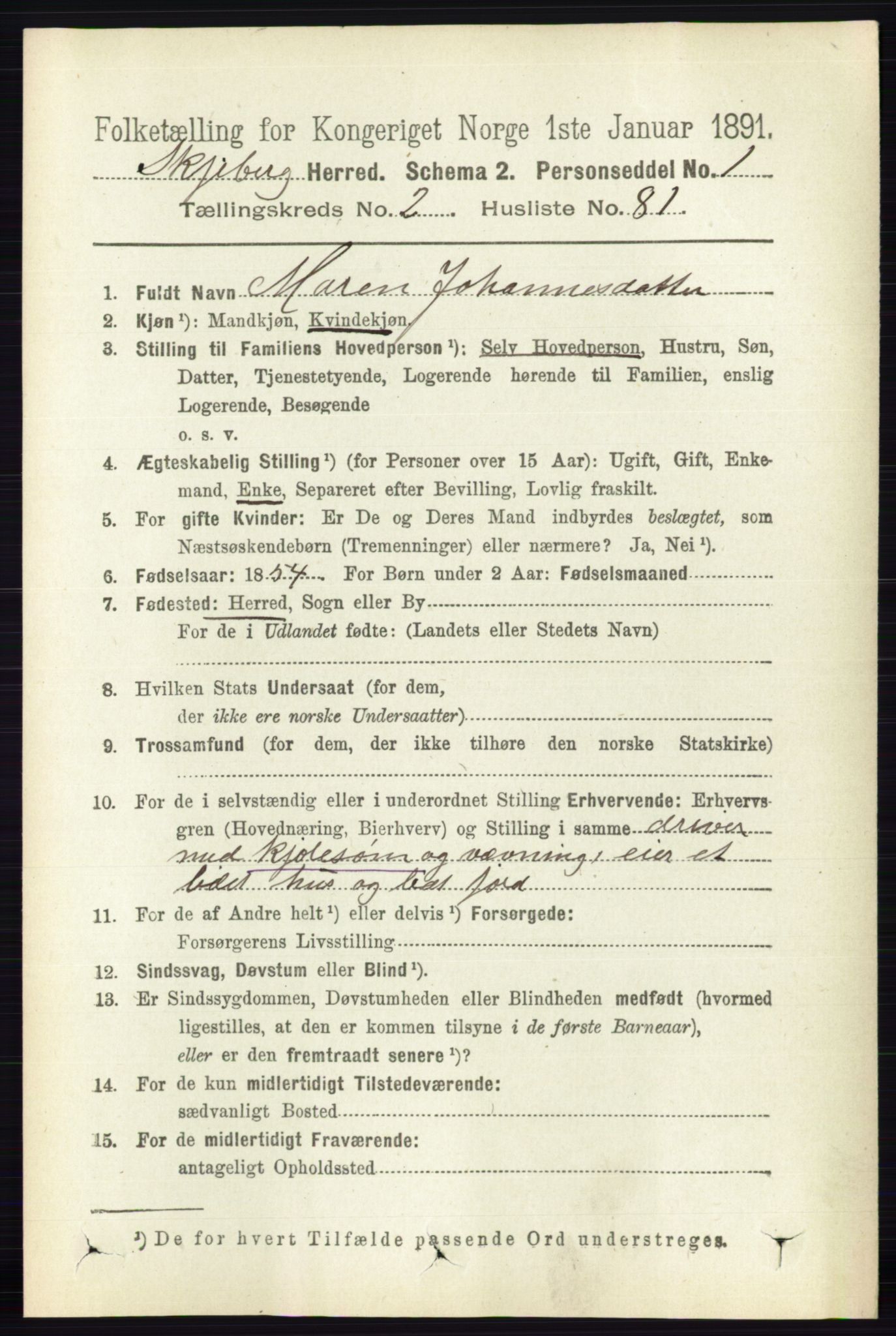 RA, 1891 census for 0115 Skjeberg, 1891, p. 1334