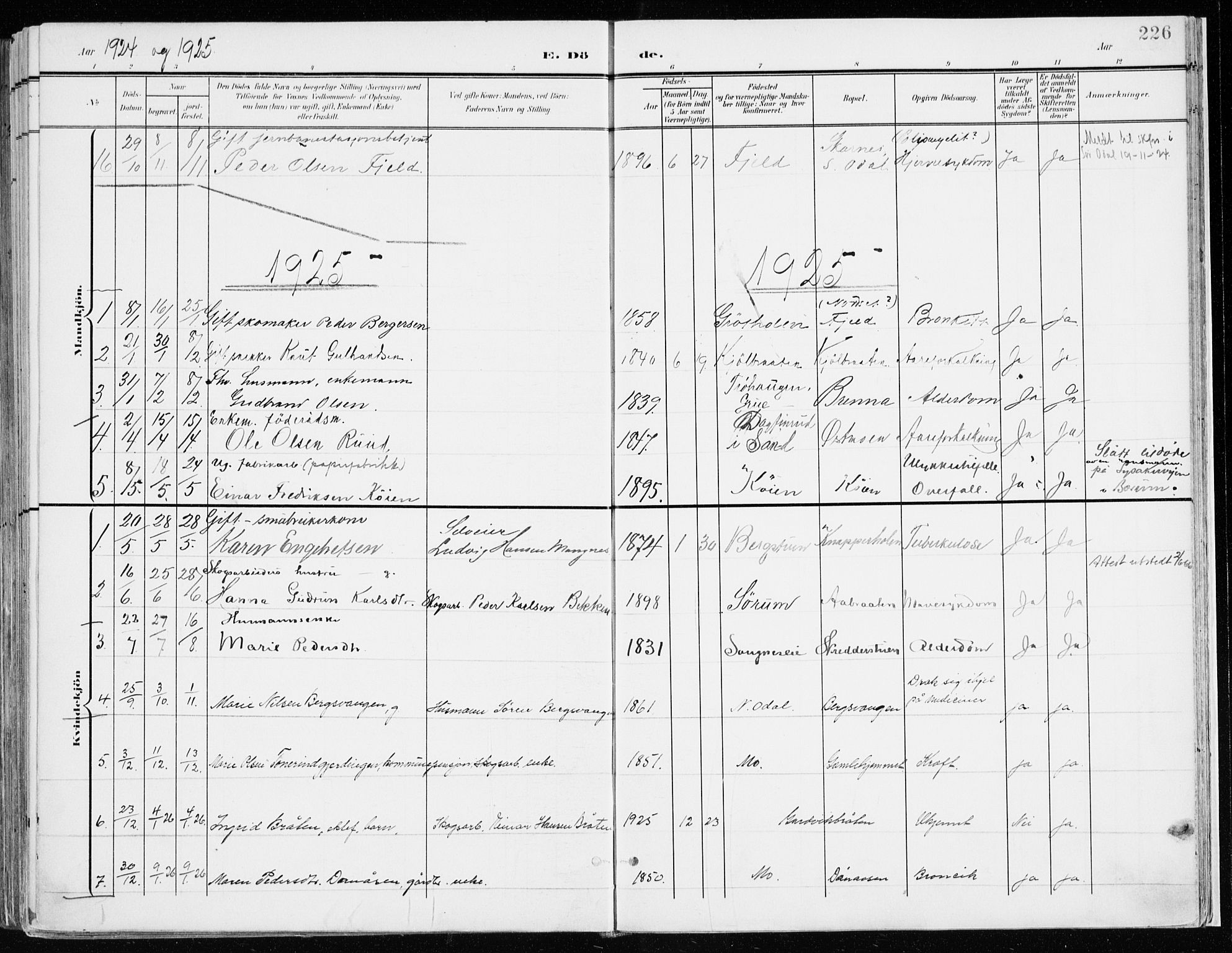 Nord-Odal prestekontor, SAH/PREST-032/H/Ha/Haa/L0009: Parish register (official) no. 9, 1902-1926, p. 226