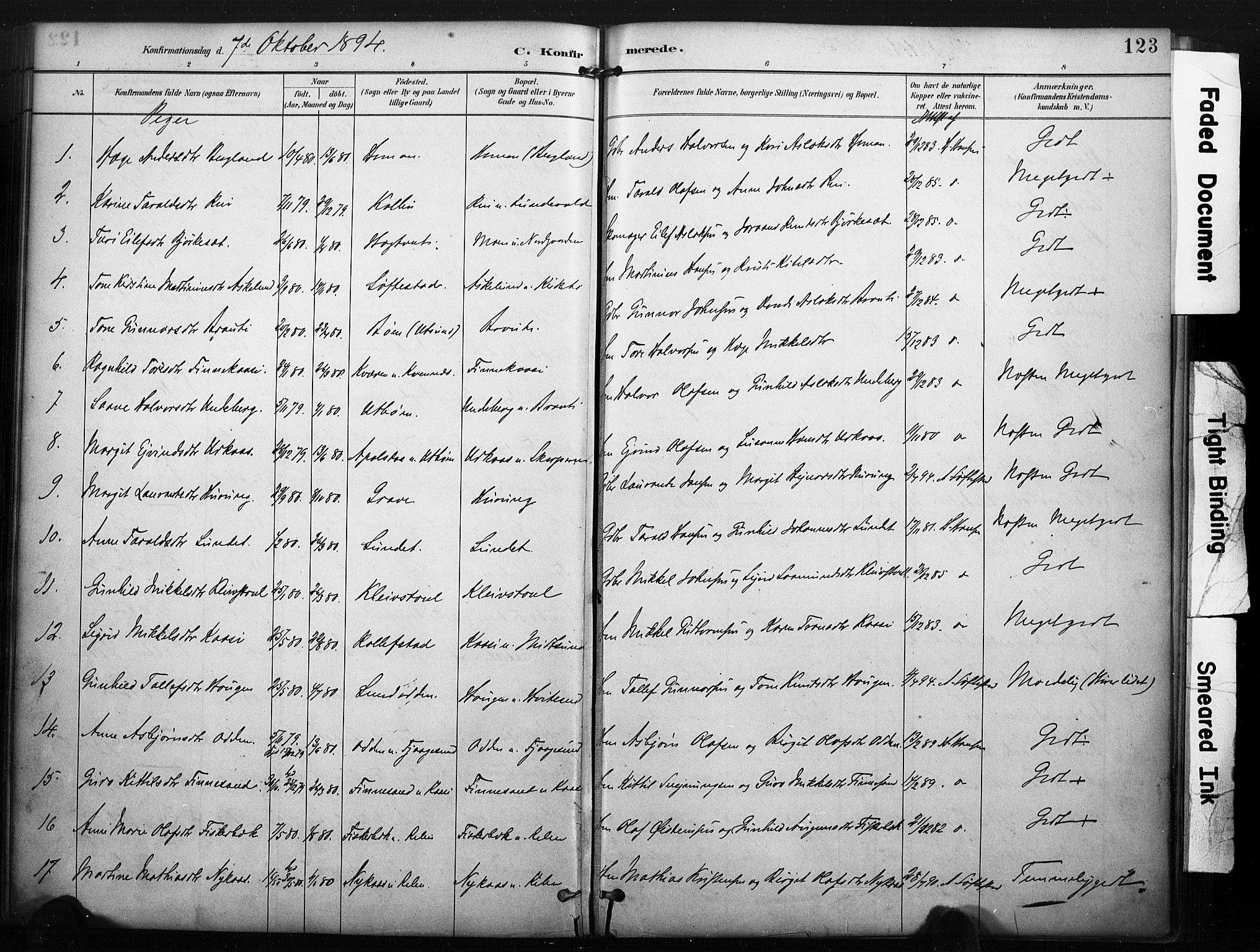 Kviteseid kirkebøker, SAKO/A-276/F/Fa/L0008: Parish register (official) no. I 8, 1882-1903, p. 123
