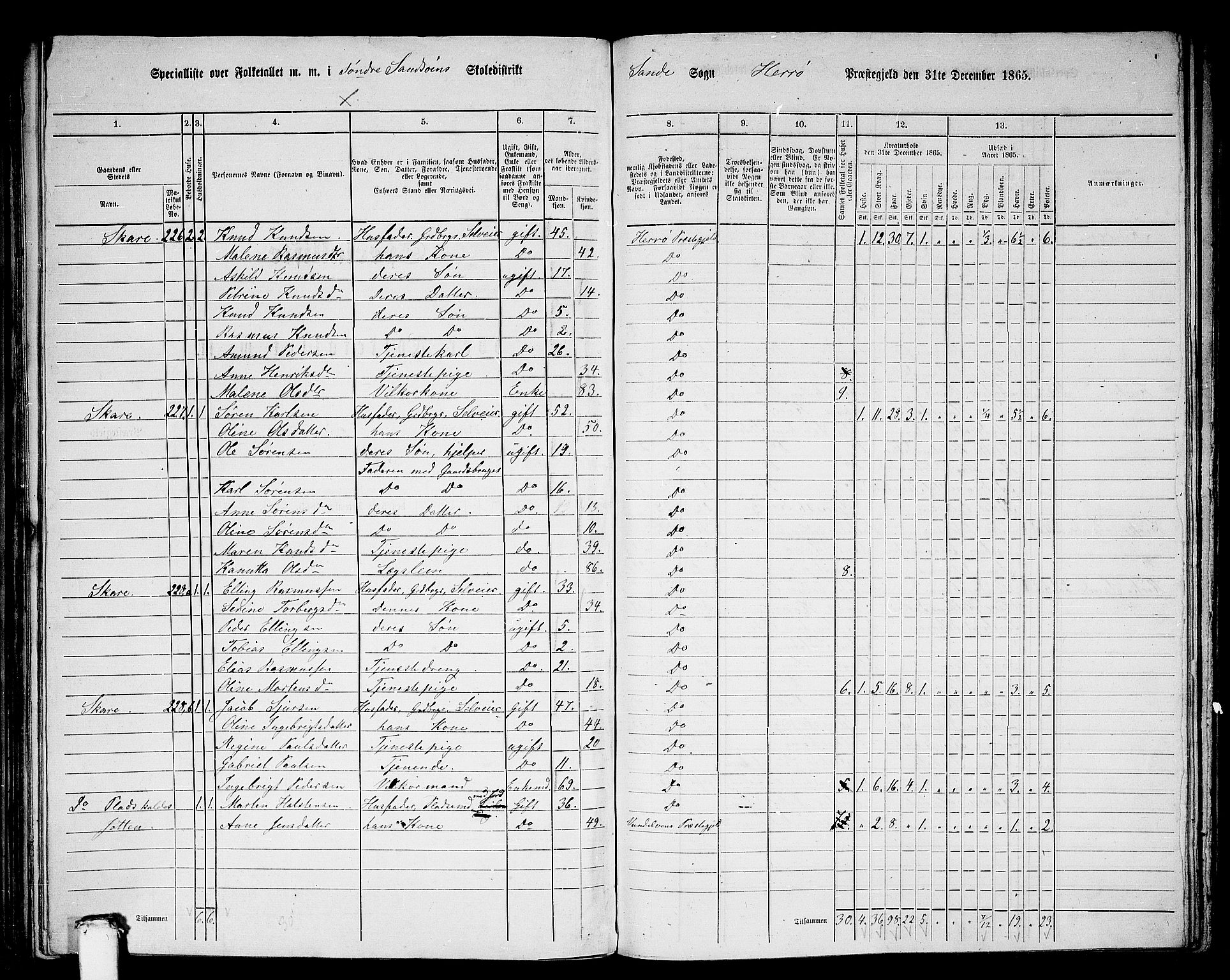 RA, 1865 census for Herøy, 1865, p. 155