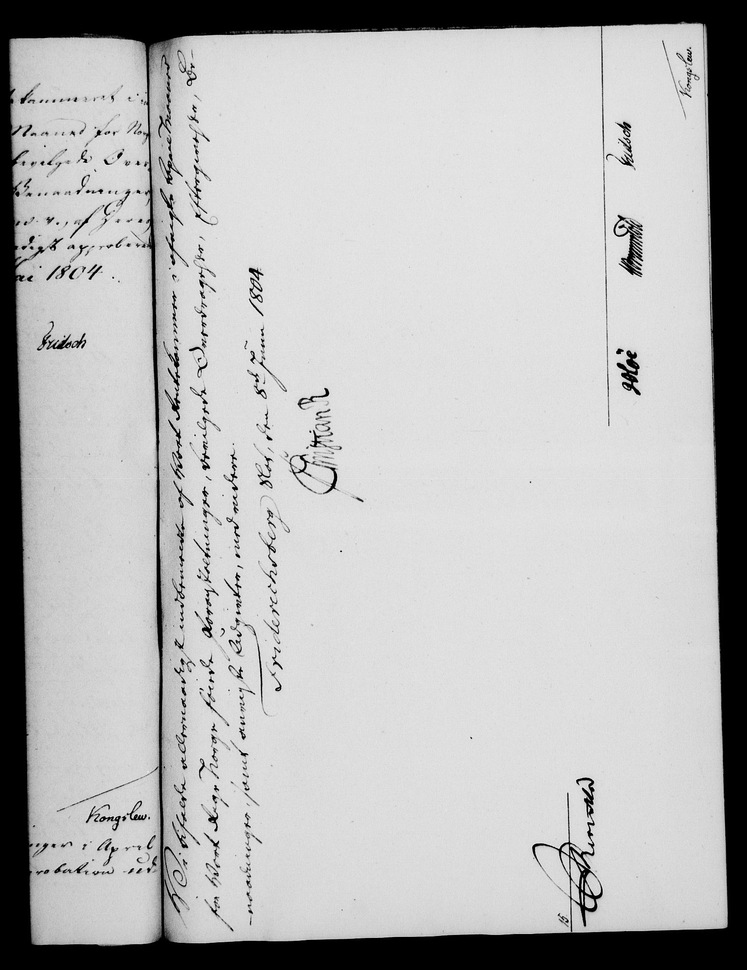 Rentekammeret, Kammerkanselliet, RA/EA-3111/G/Gf/Gfa/L0086: Norsk relasjons- og resolusjonsprotokoll (merket RK 52.86), 1804, p. 555