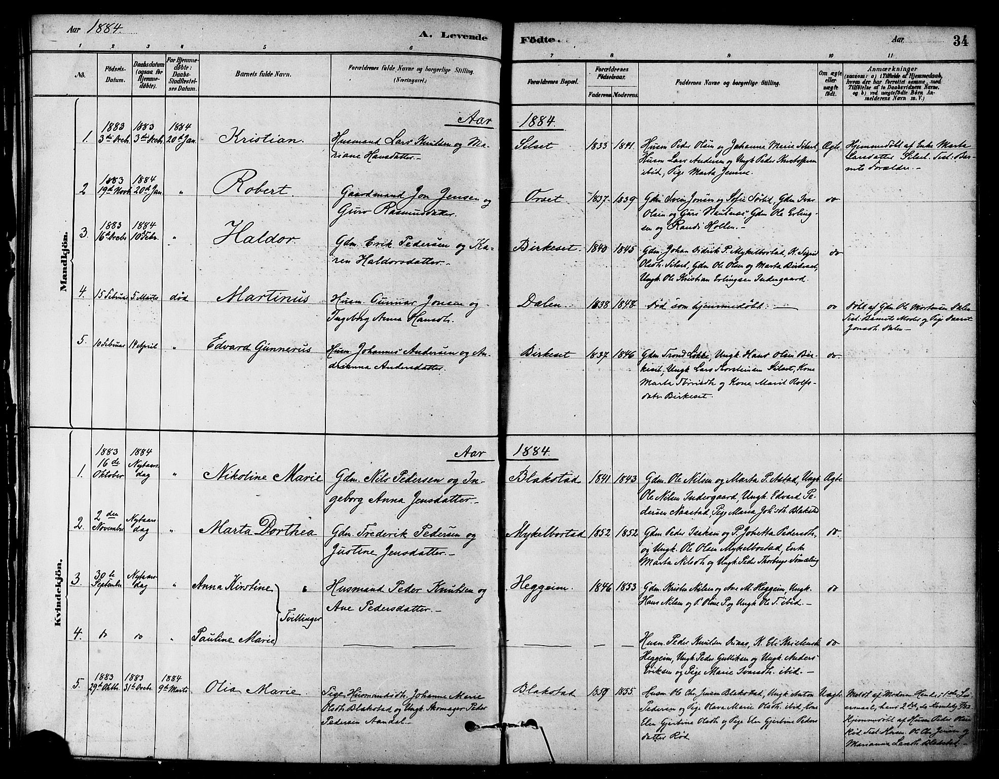 Ministerialprotokoller, klokkerbøker og fødselsregistre - Møre og Romsdal, SAT/A-1454/584/L0967: Parish register (official) no. 584A07, 1879-1894, p. 34