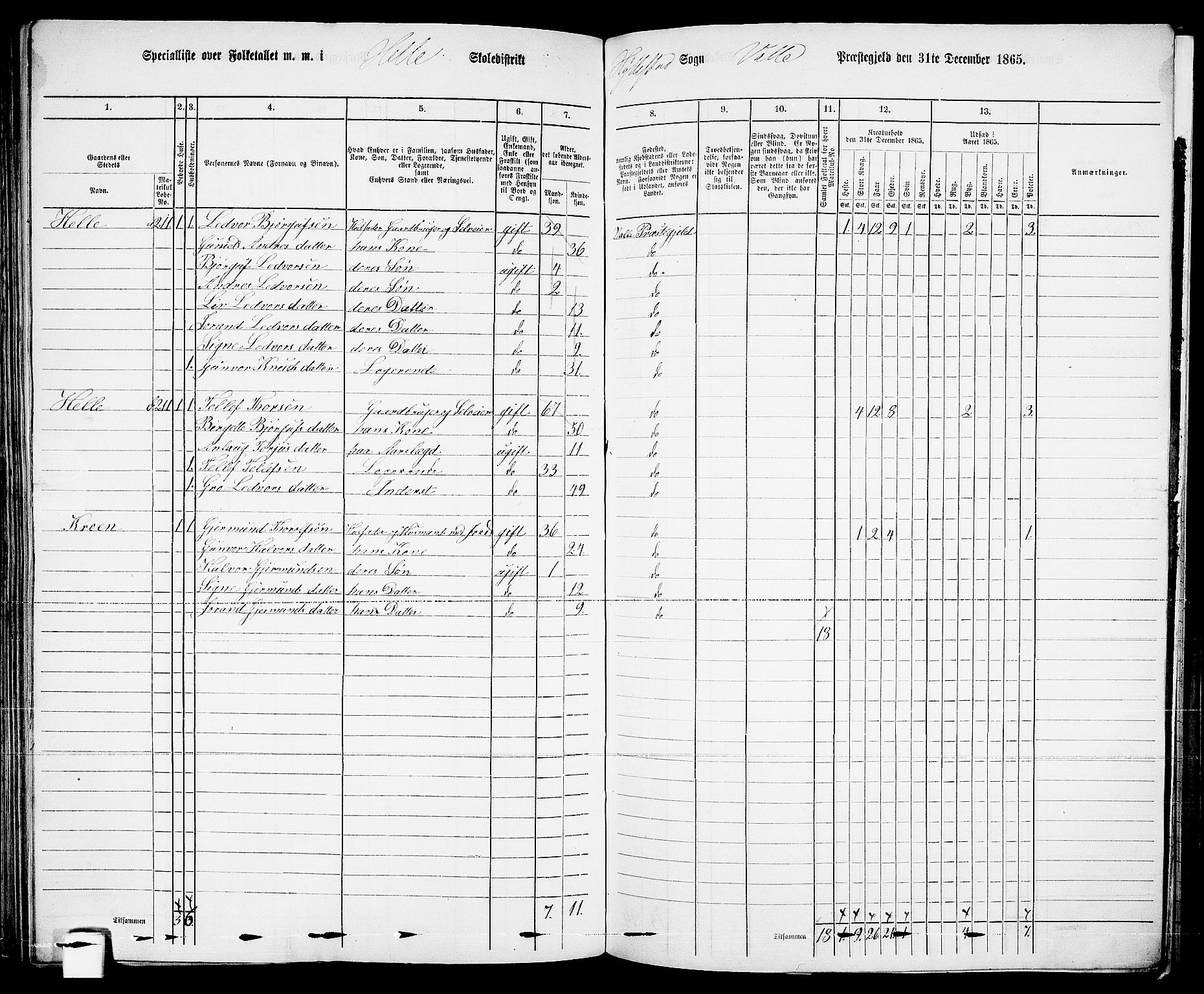 RA, 1865 census for Valle, 1865, p. 139