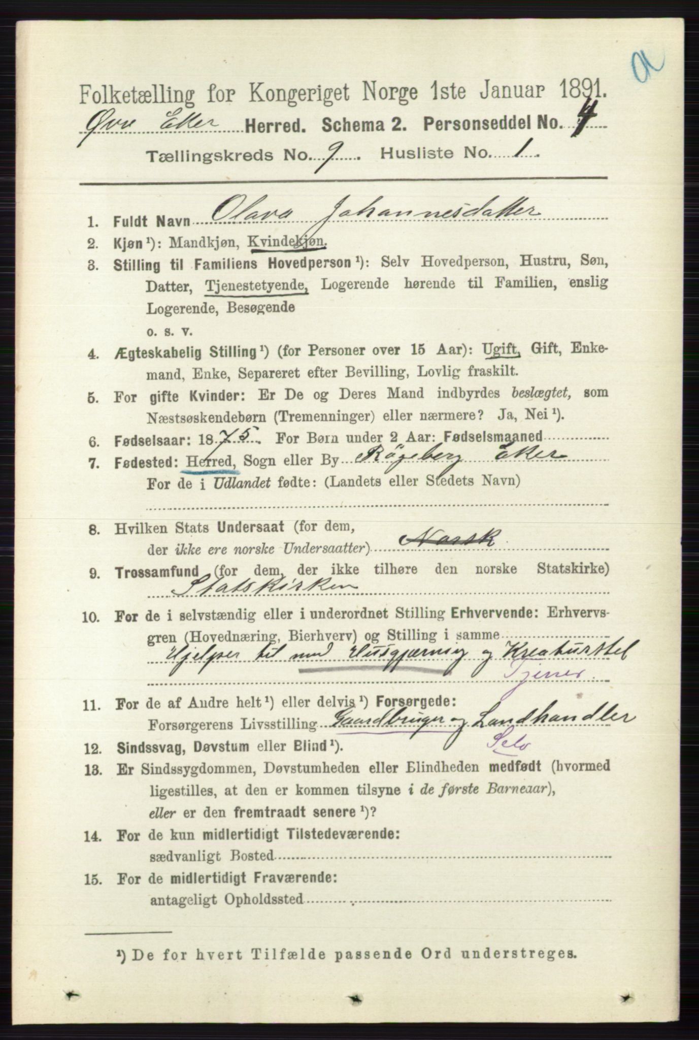 RA, 1891 census for 0624 Øvre Eiker, 1891, p. 3645