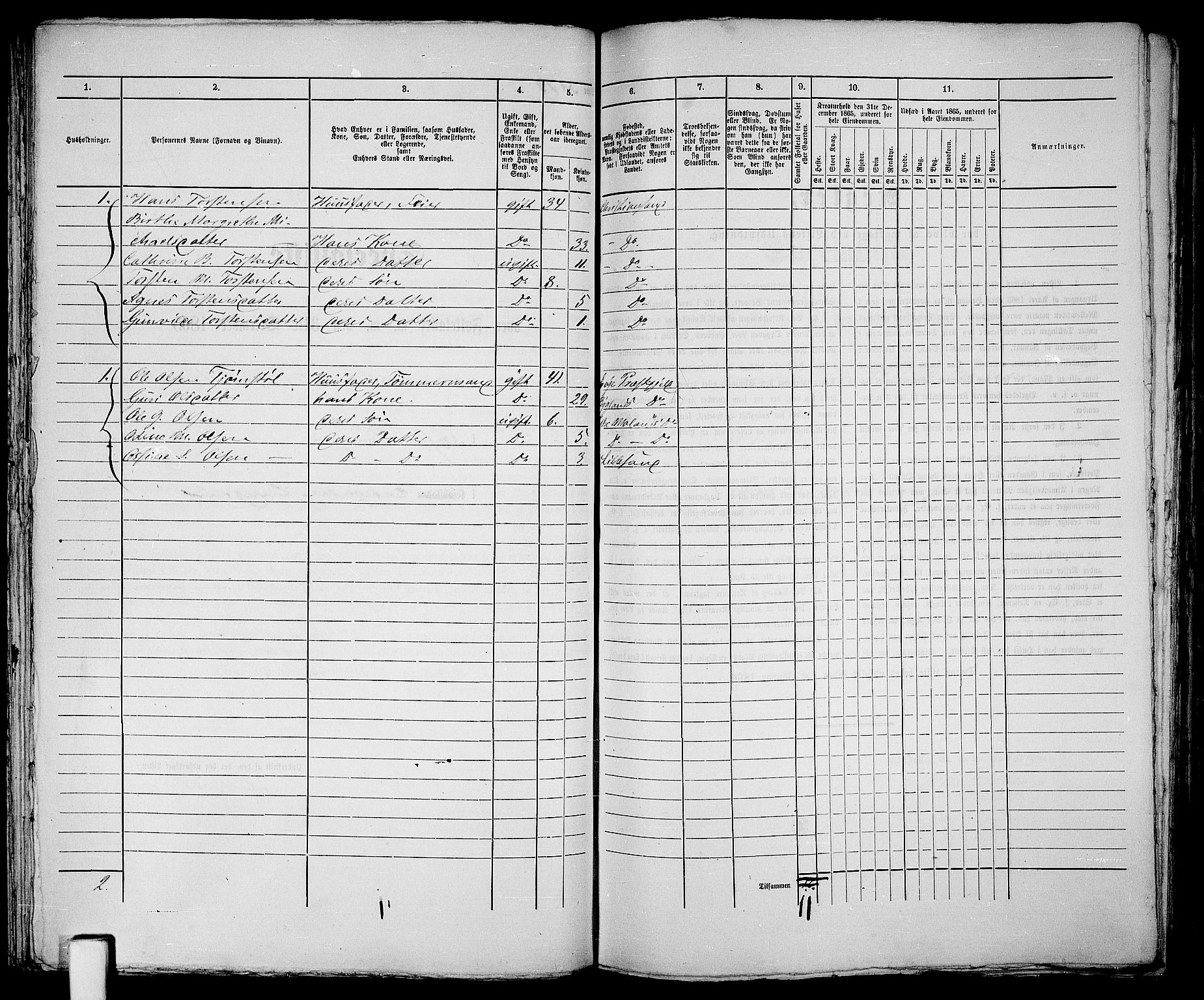 RA, 1865 census for Vestre Moland/Lillesand, 1865, p. 167