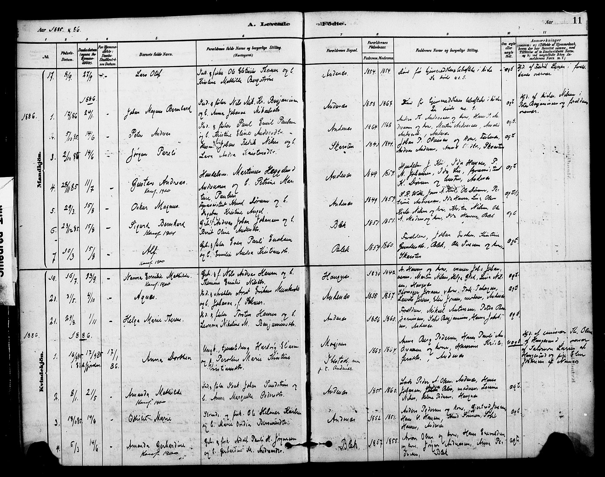 Ministerialprotokoller, klokkerbøker og fødselsregistre - Nordland, SAT/A-1459/899/L1436: Parish register (official) no. 899A04, 1881-1896, p. 11