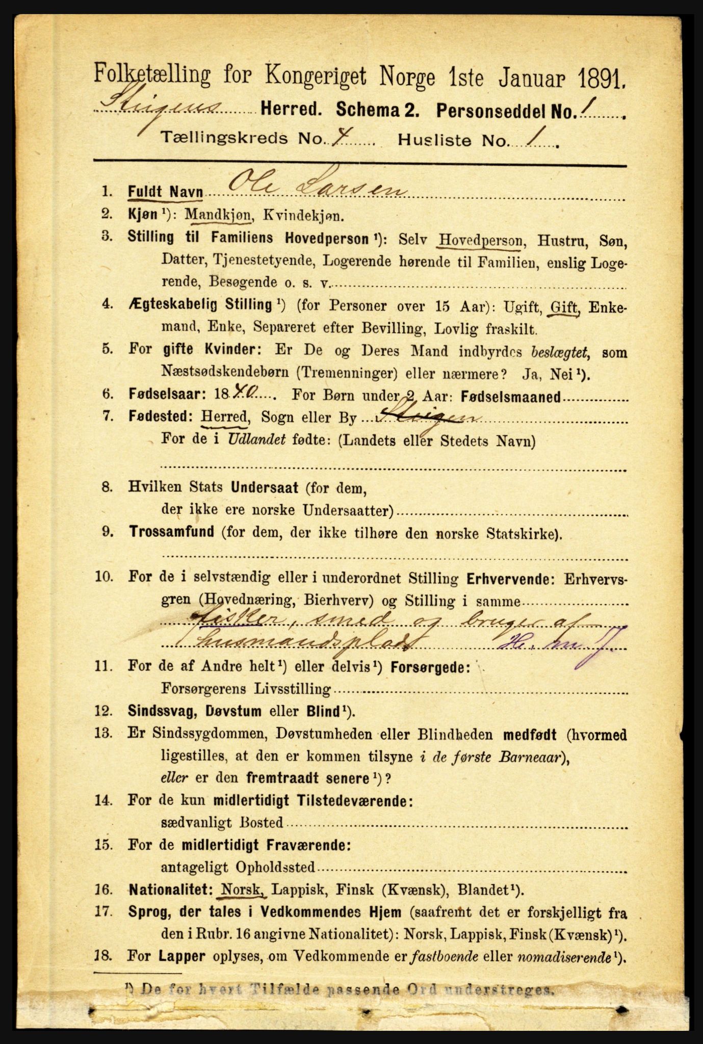 RA, 1891 census for 1848 Steigen, 1891, p. 1452